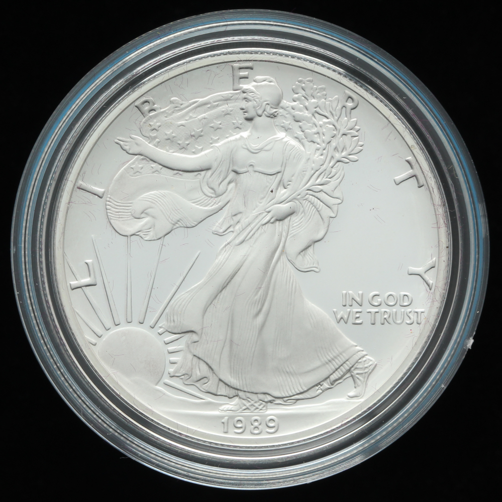 1989 Silver Dollar Value Aesthetic Wallpaper