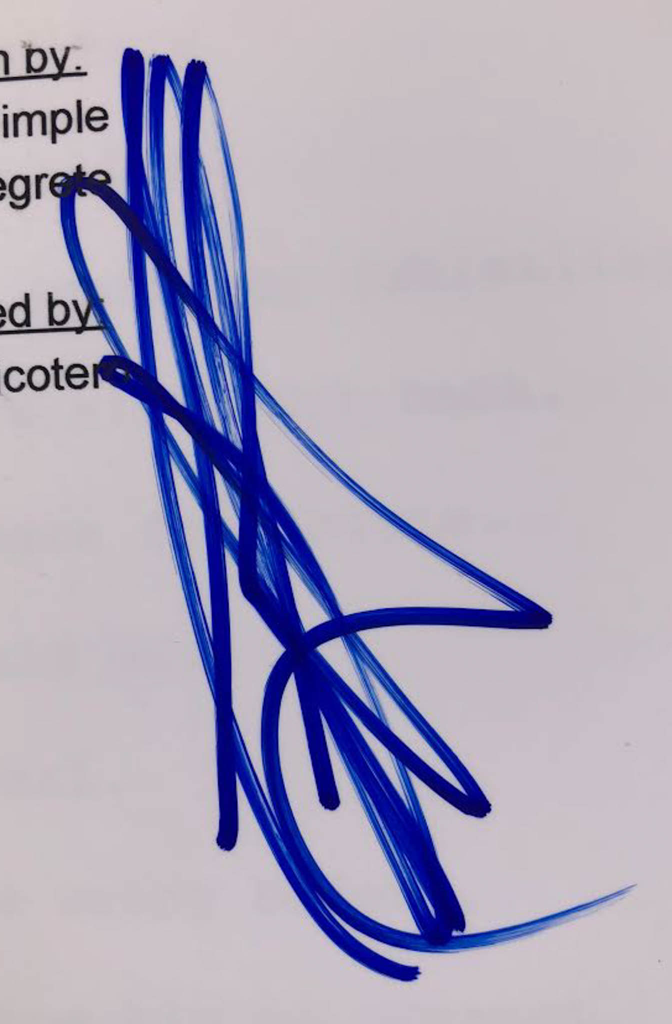 Jeffrey Dean Morgan Signed "The Walking Dead" Full Episode Script (PSA COA) at PristineAuction.com Jeffrey Dean Morgan Signed "The Walking Dead" Full Episode Script (PSA COA) at PristineAuction.com