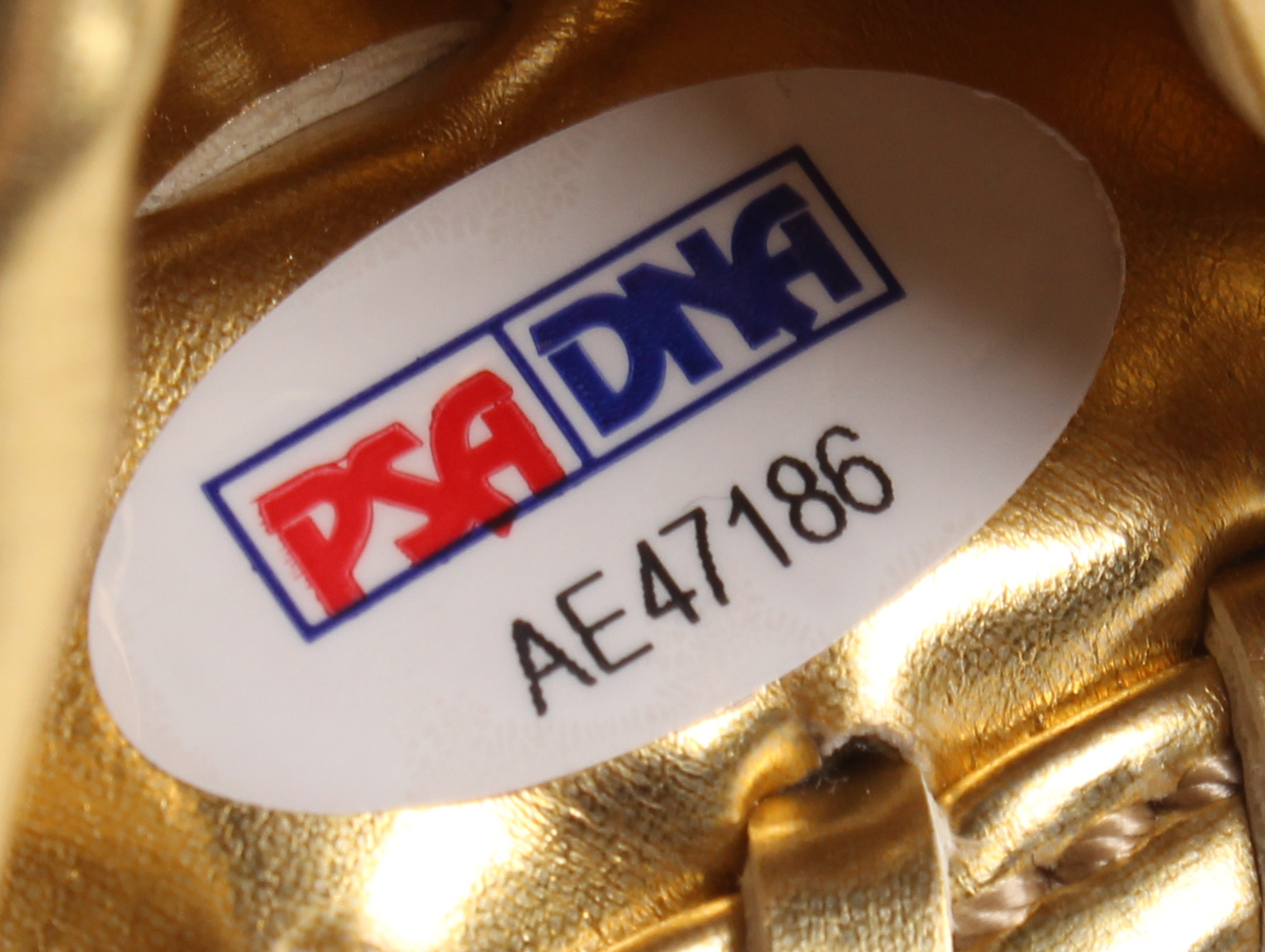 Ozzie Smith Signed Rawlings Gold Mini-Baseball Glove with Display Stand Inscribed "Wizard of Oz" (PSA COA) at PristineAuction.com Ozzie Smith Signed Rawlings Gold Mini-Baseball Glove with Display Stand Inscribed "Wizard of Oz" (PSA COA) at PristineAuction.com