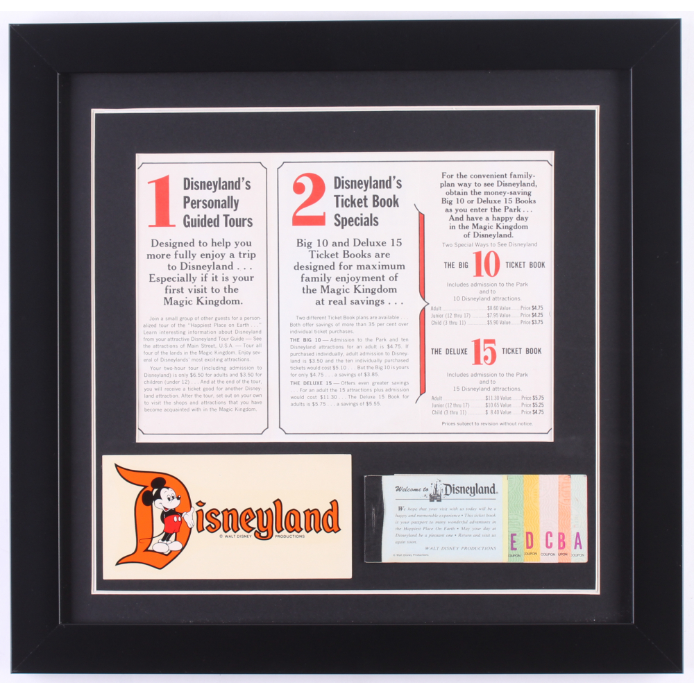disneyland 15 5x16 custom framed pamphlet display with ticket booklet