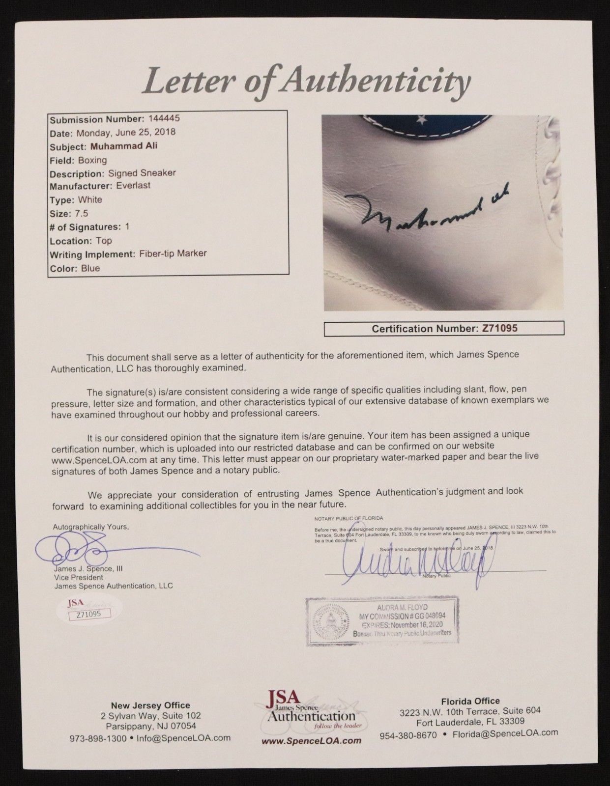 Muhammad Ali Signed Everlast Boxing Shoe (JSA LOA) at PristineAuction.com Muhammad Ali Signed Everlast Boxing Shoe (JSA LOA) at PristineAuction.com