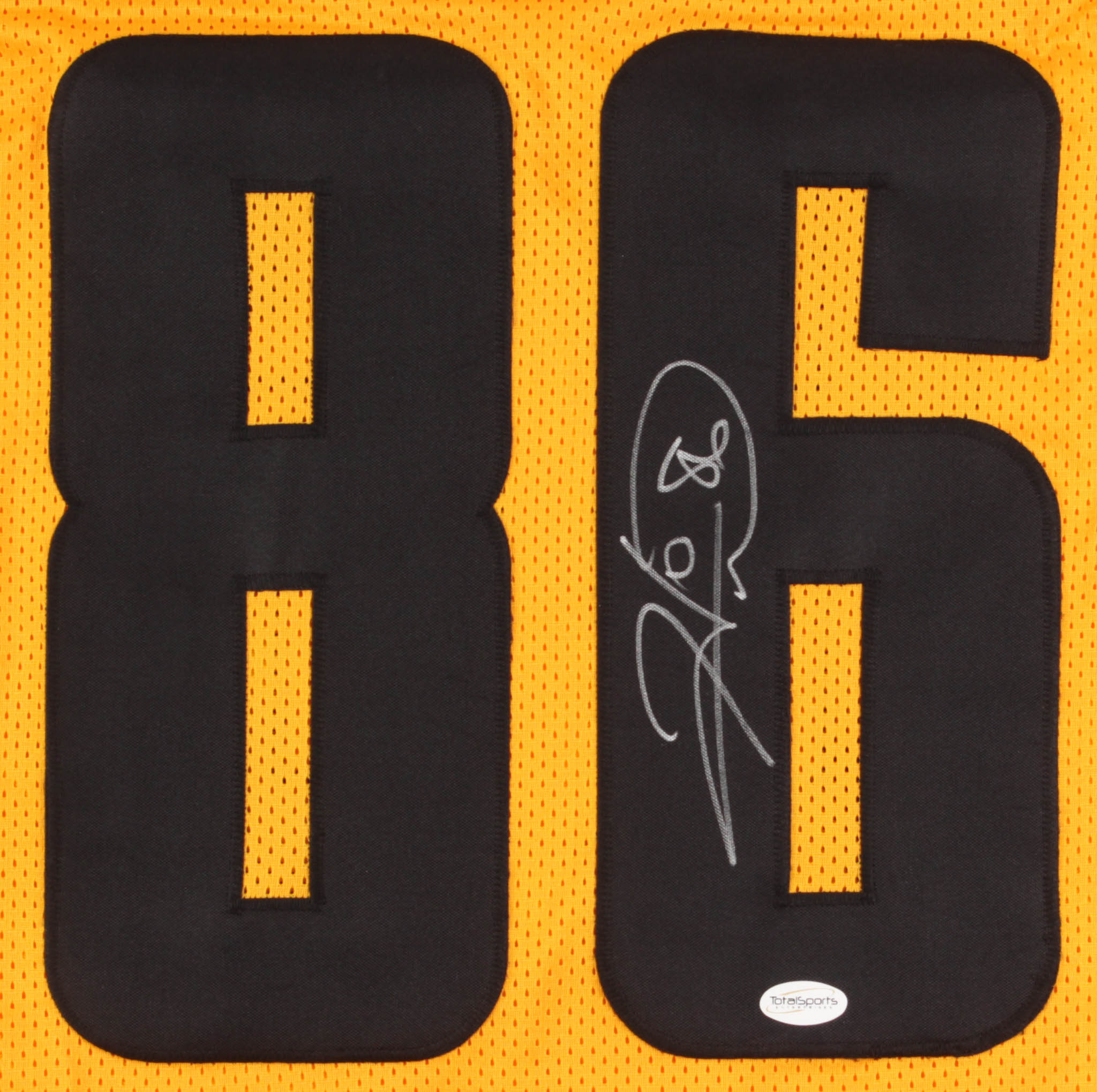 Hines Ward Signed 