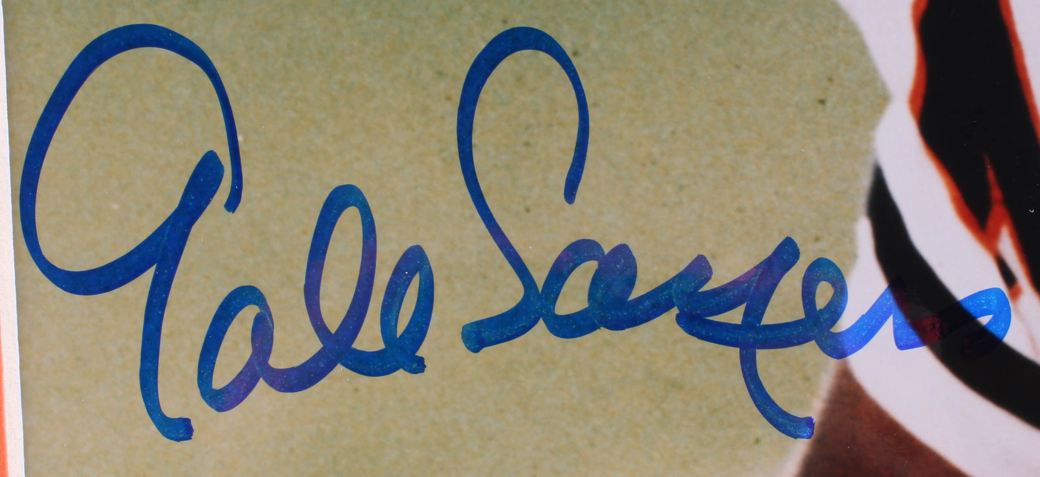 Dick Butkus, Walter Payton & Gale Sayers Signed "Bears Legends" 18x30 Custom Matted Photo Display (JSA COA, Payton COA, Schwartz COA & SOP COA) at PristineAuction.com Dick Butkus, Walter Payton & Gale Sayers Signed "Bears Legends" 18x30 Custom Matted Photo Display (JSA COA, Payton COA, Schwartz COA & SOP COA) at PristineAuction.com