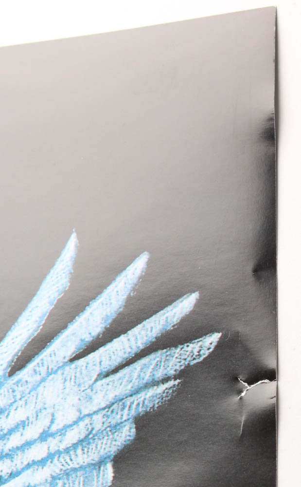 Daniel Radcliffe Signed "Harry Potter and the Sorcerer's Stone" 27x40 Movie Poster (Beckett COA) at PristineAuction.com Daniel Radcliffe Signed "Harry Potter and the Sorcerer's Stone" 27x40 Movie Poster (Beckett COA) at PristineAuction.com