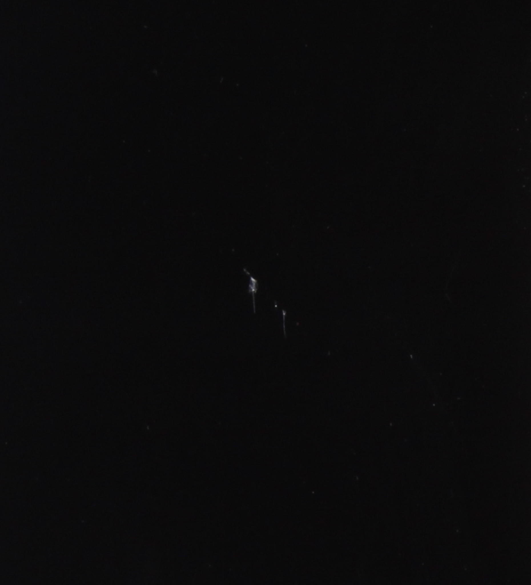 Johnny Depp Signed Full-Size Custom Electric Guitar (JSA Hologram) at PristineAuction.com Johnny Depp Signed Full-Size Custom Electric Guitar (JSA Hologram) at PristineAuction.com