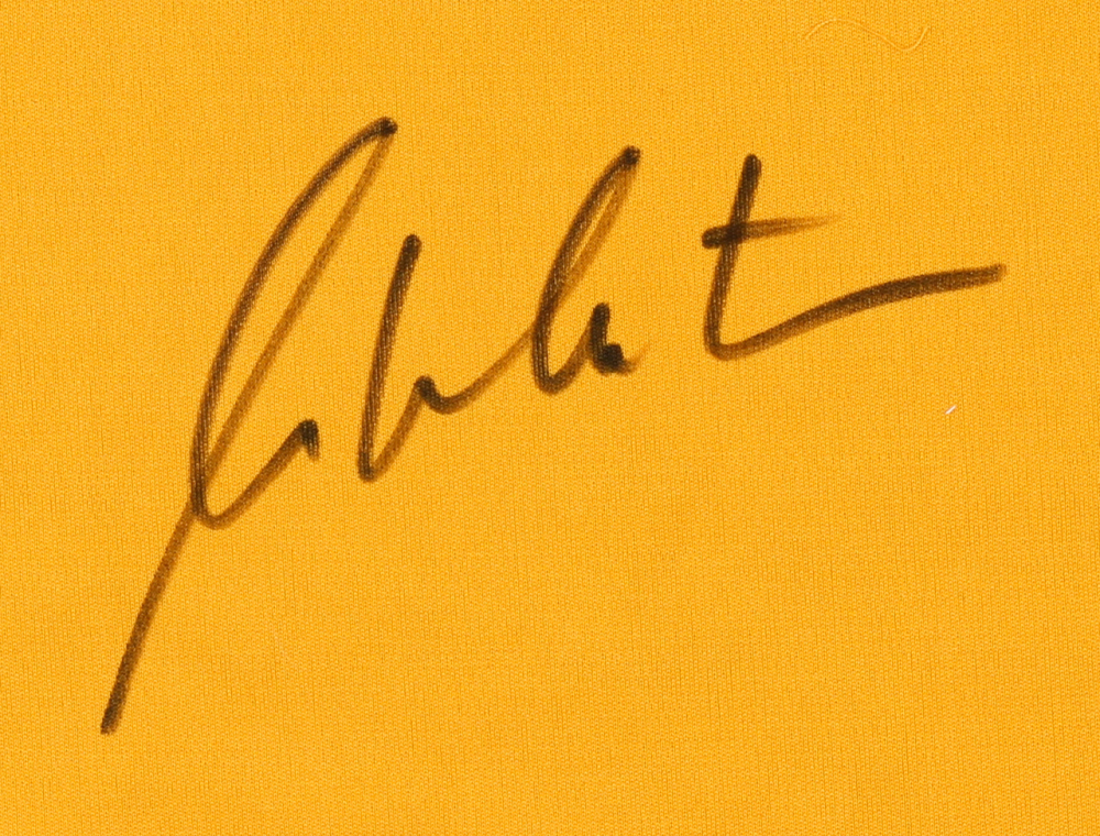 William Shatner Signed Star Trek "Captain James T. Kirk" Prop Replica Uniform Shirt (JSA COA) at PristineAuction.com William Shatner Signed Star Trek "Captain James T. Kirk" Prop Replica Uniform Shirt (JSA COA) at PristineAuction.com