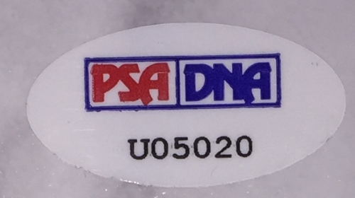 Michael J. Fox & Tom Hanks Signed "Family Ties" 16x20 Custom Framed Photo Display (PSA LOA) at PristineAuction.com Michael J. Fox & Tom Hanks Signed "Family Ties" 16x20 Custom Framed Photo Display (PSA LOA) at PristineAuction.com