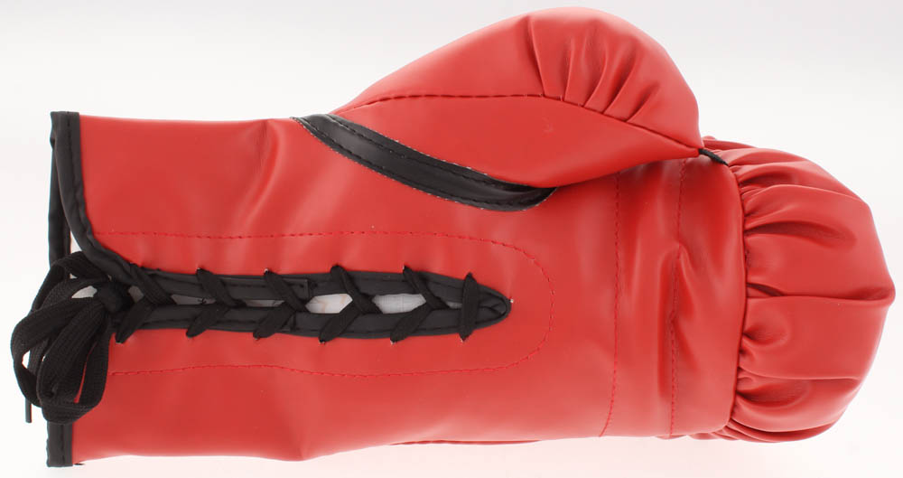 Roy Jones Jr. Signed Everlast Boxing Glove (Beckett COA) at PristineAuction.com Roy Jones Jr. Signed Everlast Boxing Glove (Beckett COA) at PristineAuction.com