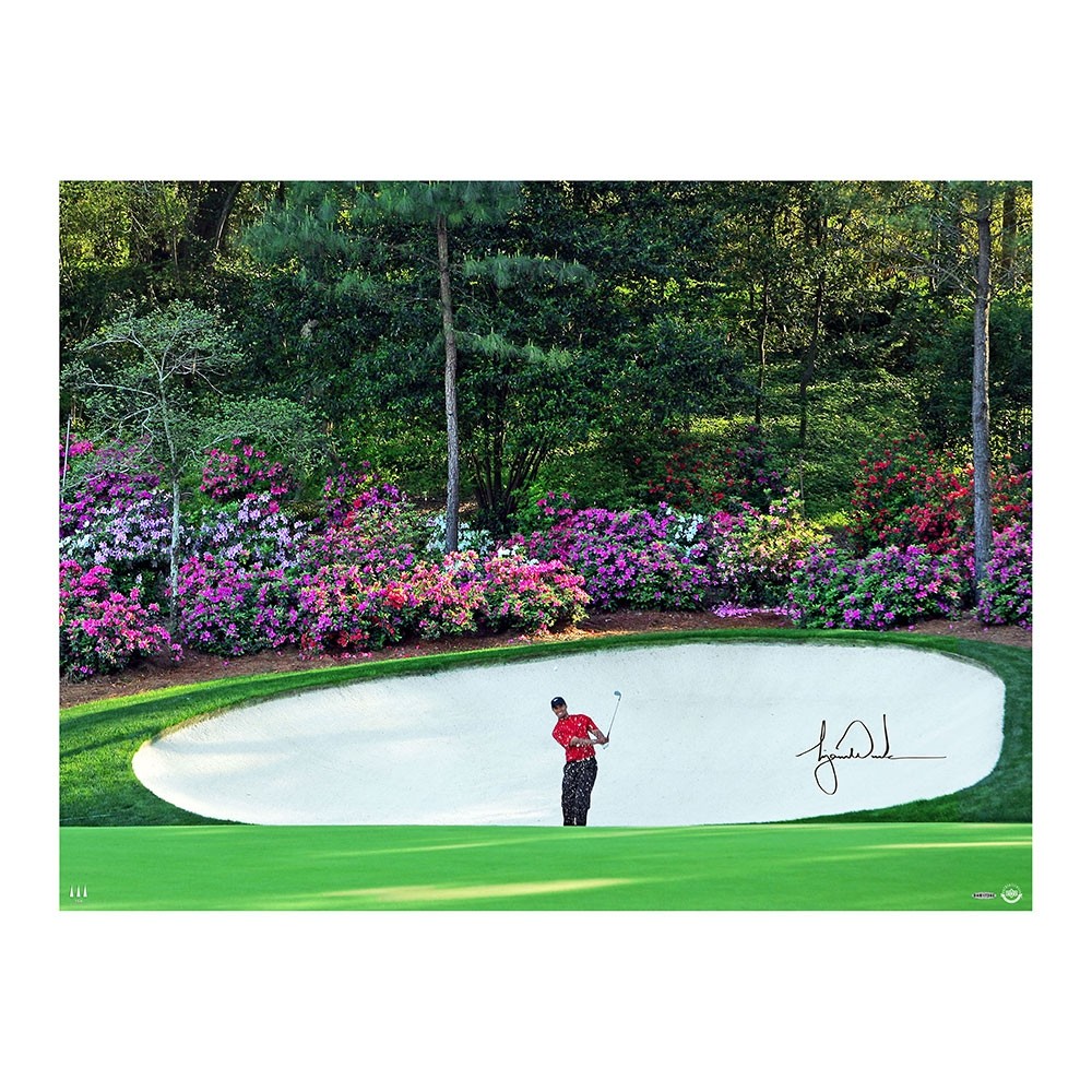 Tiger Woods Signed "Azalea" 30x40 Photo (UDA) at PristineAuction.com Tiger Woods Signed "Azalea" 30x40 Photo (UDA) at PristineAuction.com