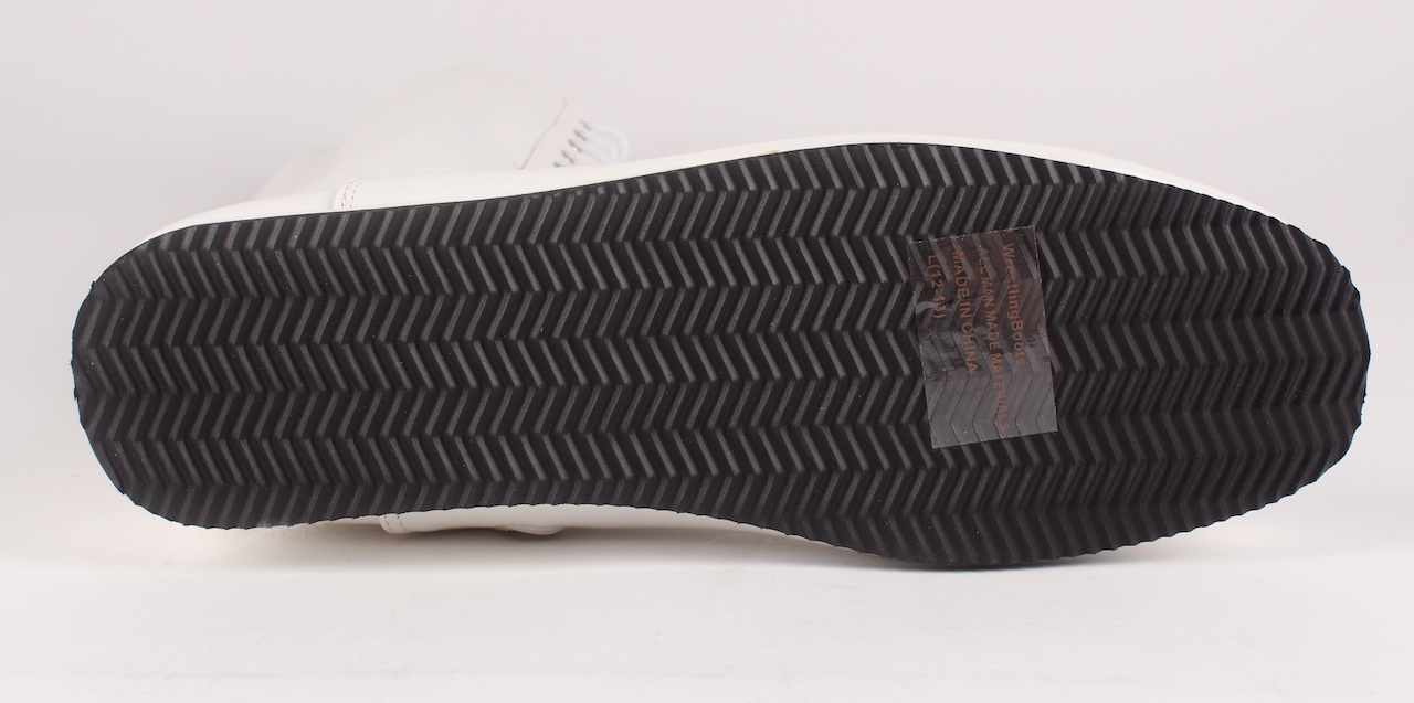 Ric Flair Signed Wrestling Boot (JSA COA) at PristineAuction.com Ric Flair Signed Wrestling Boot (JSA COA) at PristineAuction.com