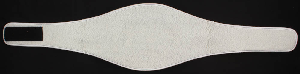 Floyd Mayweather Jr. Signed International Boxing Federation World Champion Belt (Beckett COA) at PristineAuction.com Floyd Mayweather Jr. Signed International Boxing Federation World Champion Belt (Beckett COA) at PristineAuction.com