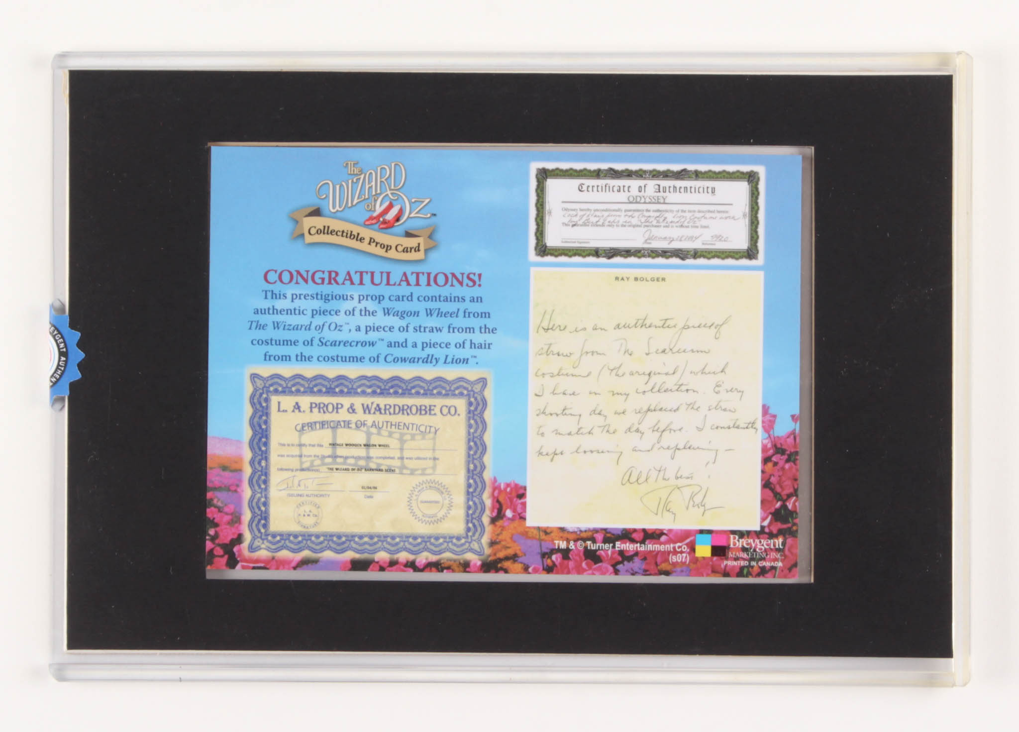 "Wizard of Oz" Prop Card Display With Piece of Wagon Wheel, Straw From Scarecrow & Hair From Lion (Odyssey COA) at PristineAuction.com "Wizard of Oz" Prop Card Display With Piece of Wagon Wheel, Straw From Scarecrow & Hair From Lion (Odyssey COA) at PristineAuction.com