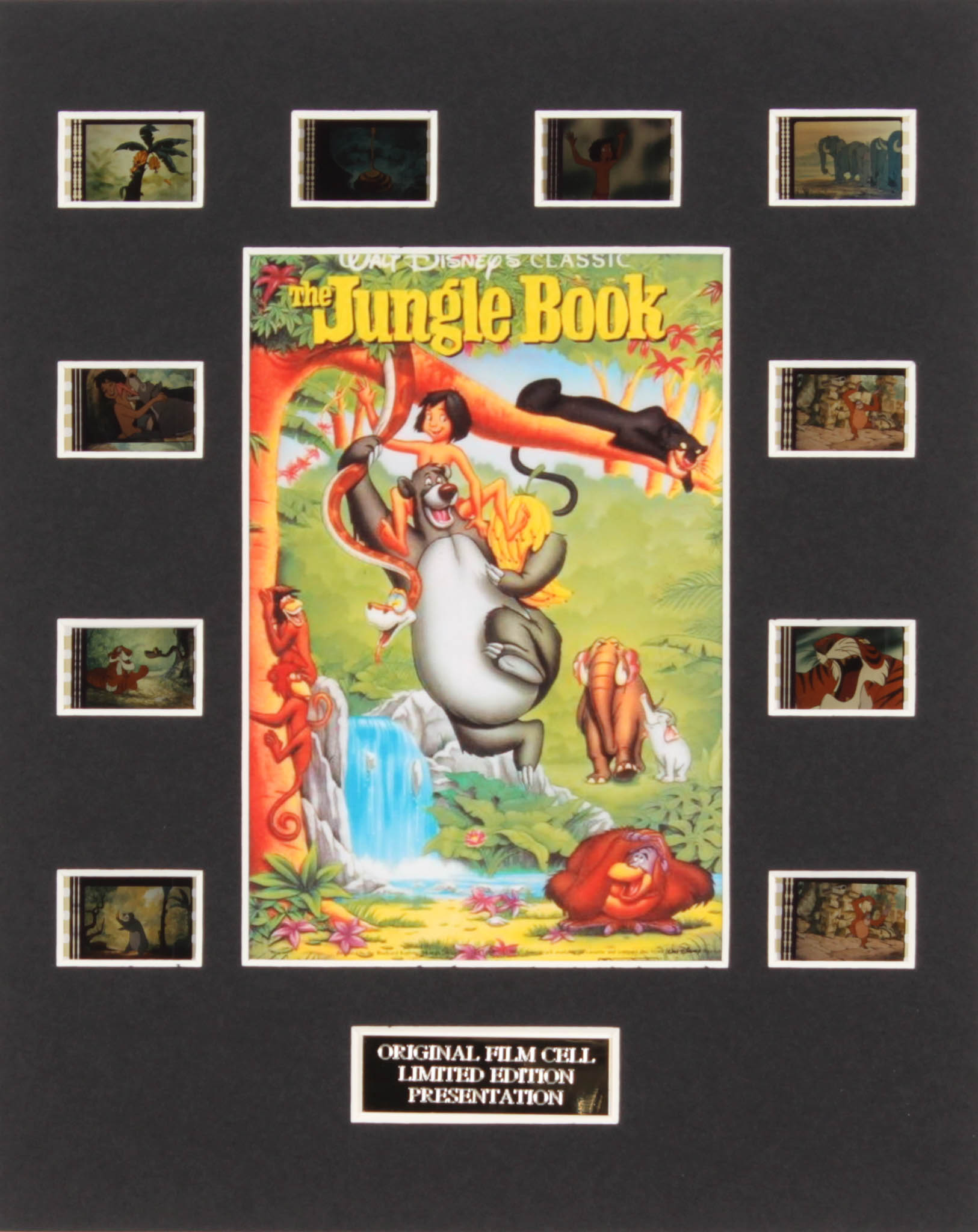 "The Jungle Book" LE 8x10 Custom Matted Original Film / Movie Cell Display at PristineAuction.com "The Jungle Book" LE 8x10 Custom Matted Original Film / Movie Cell Display at PristineAuction.com