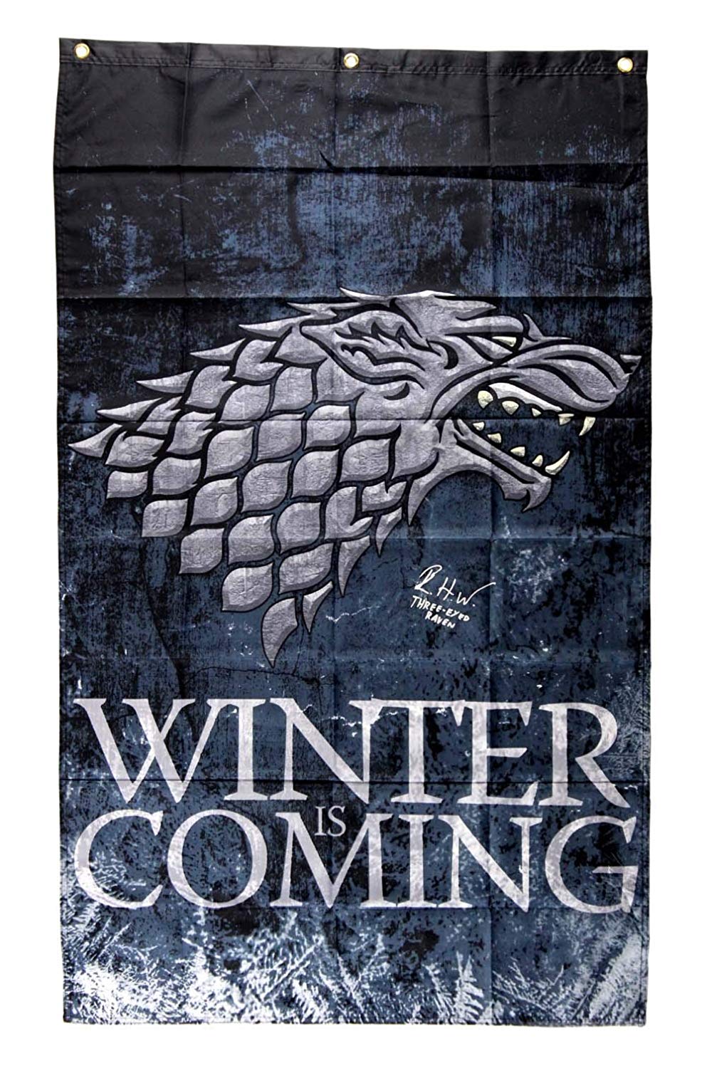 Isaac Hempstead Wright Signed "Game Thrones" 30x50 Winter is Coming Banner Inscribed "Three-Eyed Raven" (Radtke COA) at PristineAuction.com Isaac Hempstead Wright Signed "Game Thrones" 30x50 Winter is Coming Banner Inscribed "Three-Eyed Raven" (Radtke COA) at PristineAuction.com