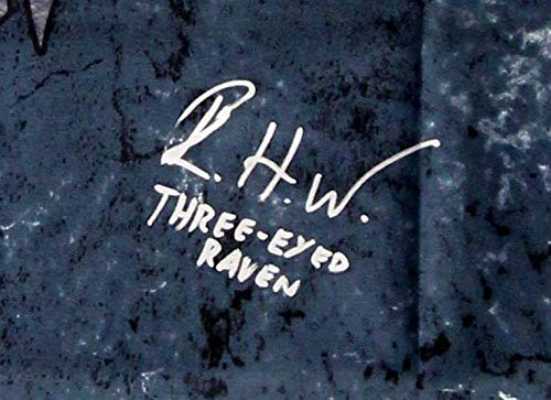 Isaac Hempstead Wright Signed "Game Thrones" 30x50 Winter is Coming Banner Inscribed "Three-Eyed Raven" (Radtke COA) at PristineAuction.com Isaac Hempstead Wright Signed "Game Thrones" 30x50 Winter is Coming Banner Inscribed "Three-Eyed Raven" (Radtke COA) at PristineAuction.com