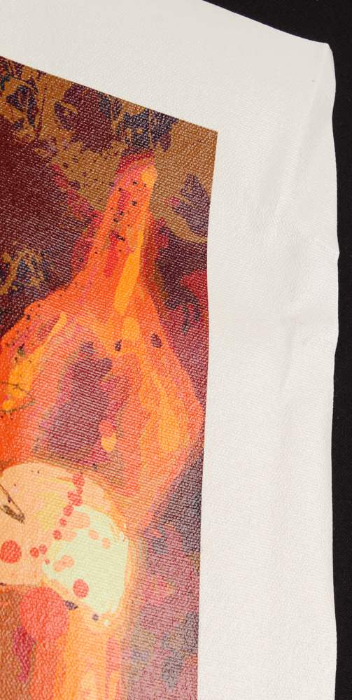 Joe Petruccio & Joe Namath Signed "The Promise" 24x24 Limited Edition Giclee on Canvas #68/69 (JSA COA & PCV COA) at PristineAuction.com Joe Petruccio & Joe Namath Signed "The Promise" 24x24 Limited Edition Giclee on Canvas #68/69 (JSA COA & PCV COA) at PristineAuction.com