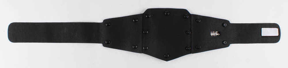 Rick Flair Signed WWE Championship Belt (Schwartz COA) at PristineAuction.com Rick Flair Signed WWE Championship Belt (Schwartz COA) at PristineAuction.com