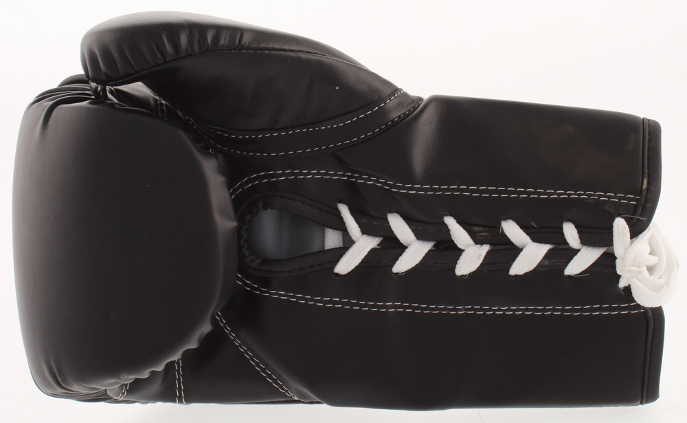 Julio Cesar Chavez Signed Title Boxing Glove with Display Case (JSA COA) at PristineAuction.com Julio Cesar Chavez Signed Title Boxing Glove with Display Case (JSA COA) at PristineAuction.com