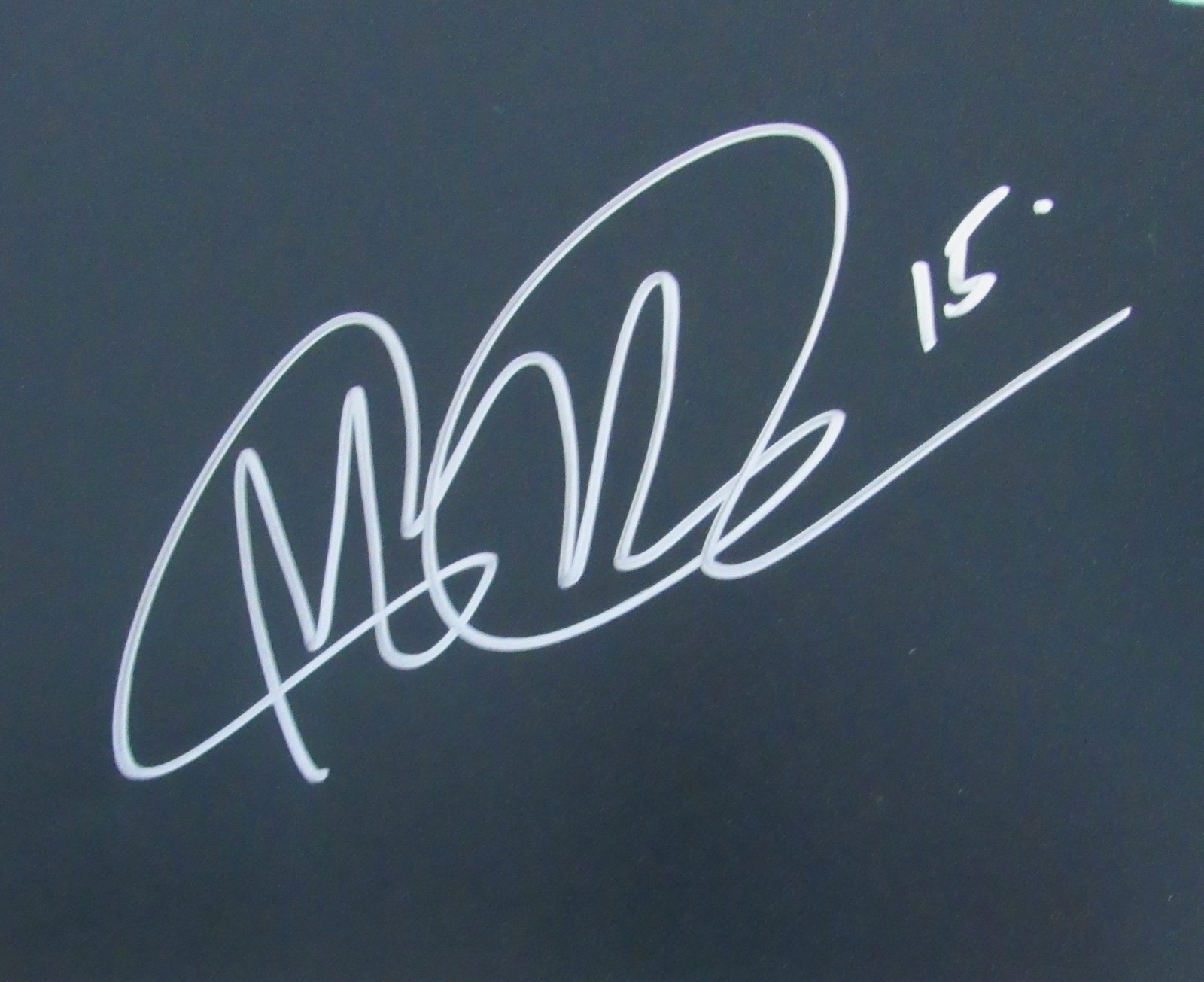 Megan Rapinoe Signed Team USA 16x20 Photo (JSA COA) at PristineAuction.com Megan Rapinoe Signed Team USA 16x20 Photo (JSA COA) at PristineAuction.com