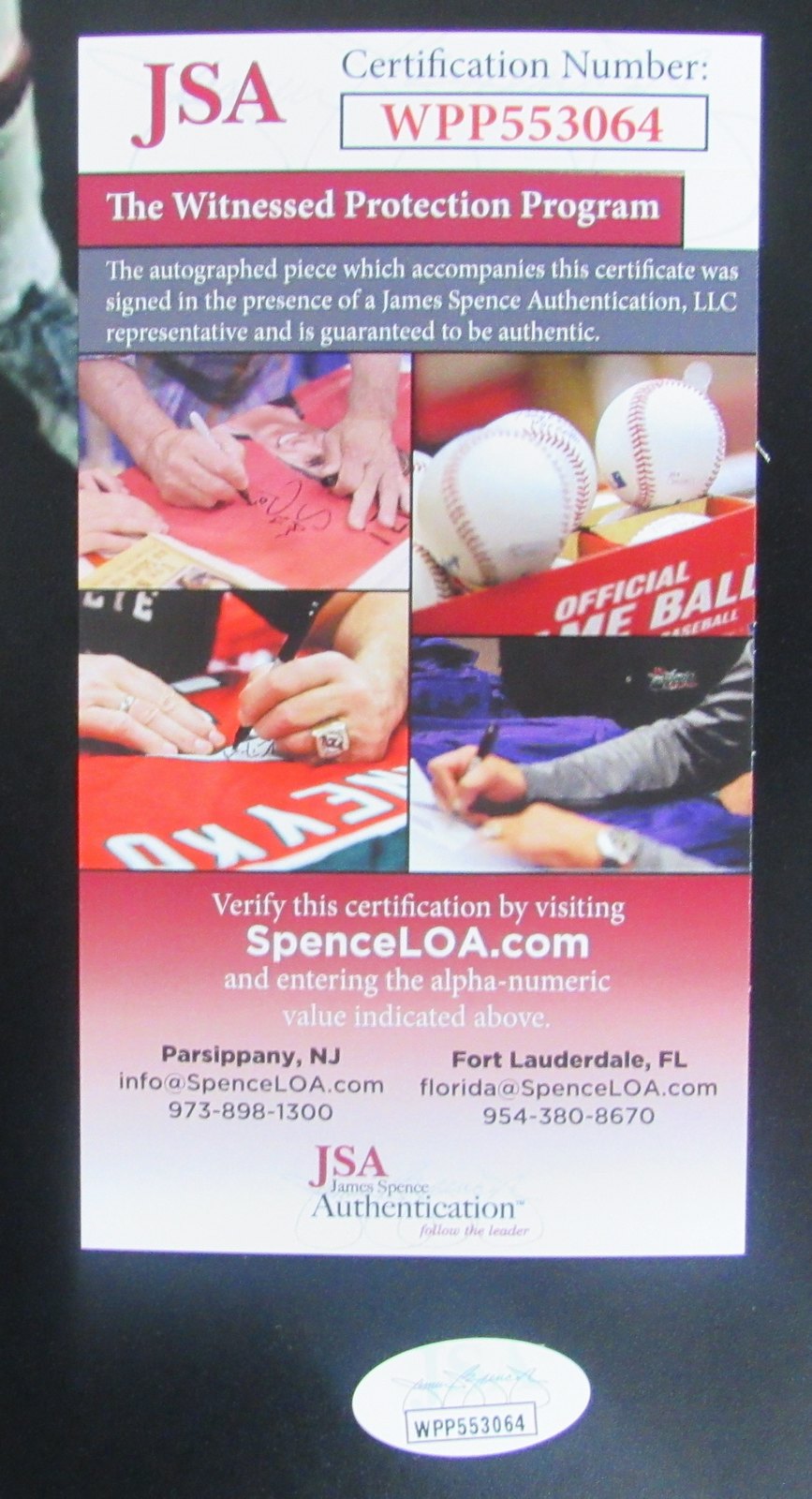 Megan Rapinoe Signed Team USA 16x20 Photo (JSA COA) at PristineAuction.com Megan Rapinoe Signed Team USA 16x20 Photo (JSA COA) at PristineAuction.com