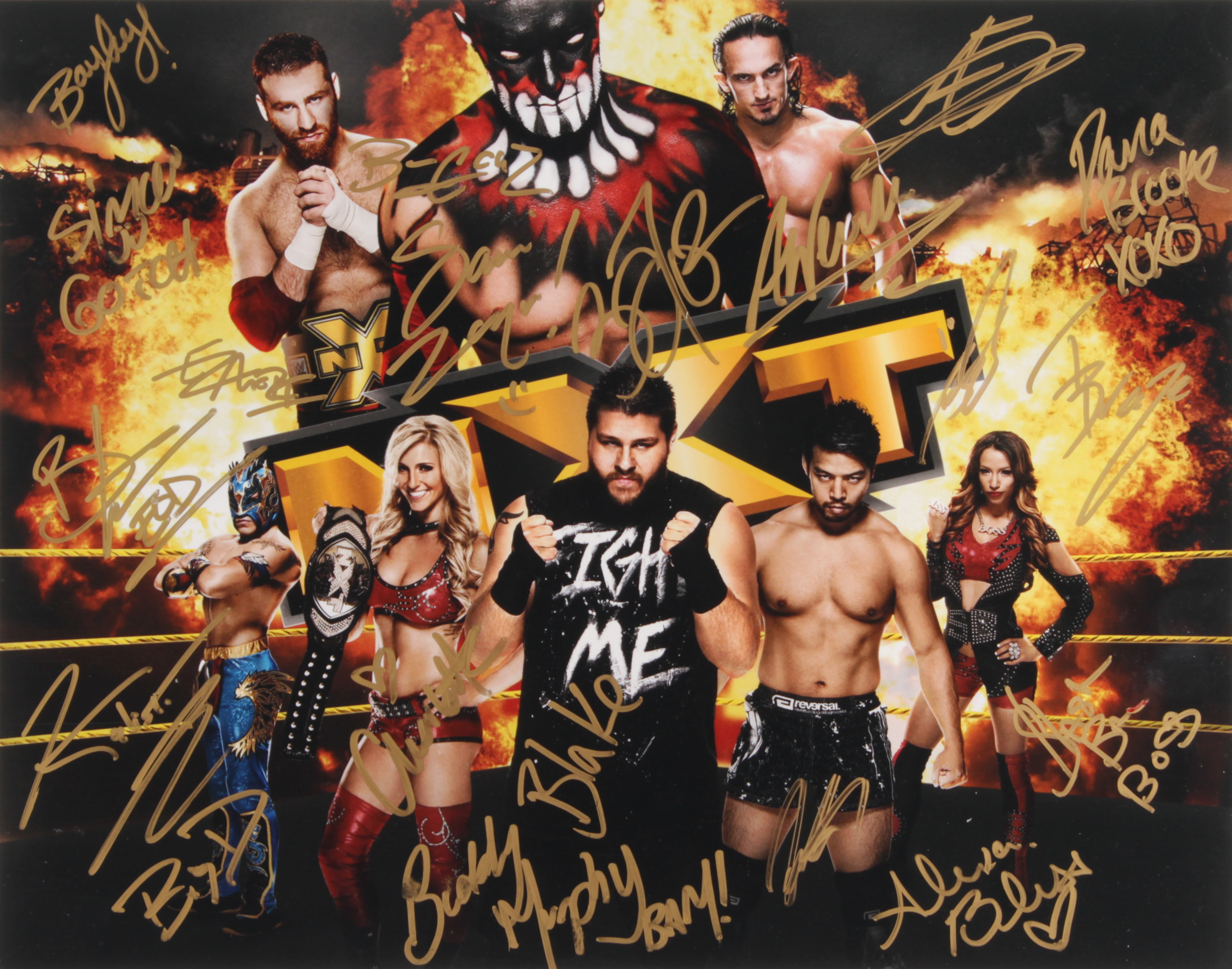 WWE Legends 11x14 Photo Signed by (17) with Charlotte Flair, Alexa Bliss, Sasha Banks, Bayley, Blake and Murphy (JSA ALOA) at PristineAuction.com WWE Legends 11x14 Photo Signed by (17) with Charlotte Flair, Alexa Bliss, Sasha Banks, Bayley, Blake and Murphy (JSA ALOA) at PristineAuction.com