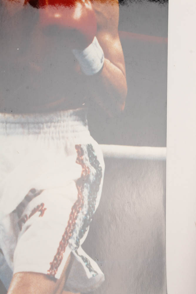 Julio Cesar Chavez Signed 16x20 Photo (Beckett COA) at PristineAuction.com Julio Cesar Chavez Signed 16x20 Photo (Beckett COA) at PristineAuction.com