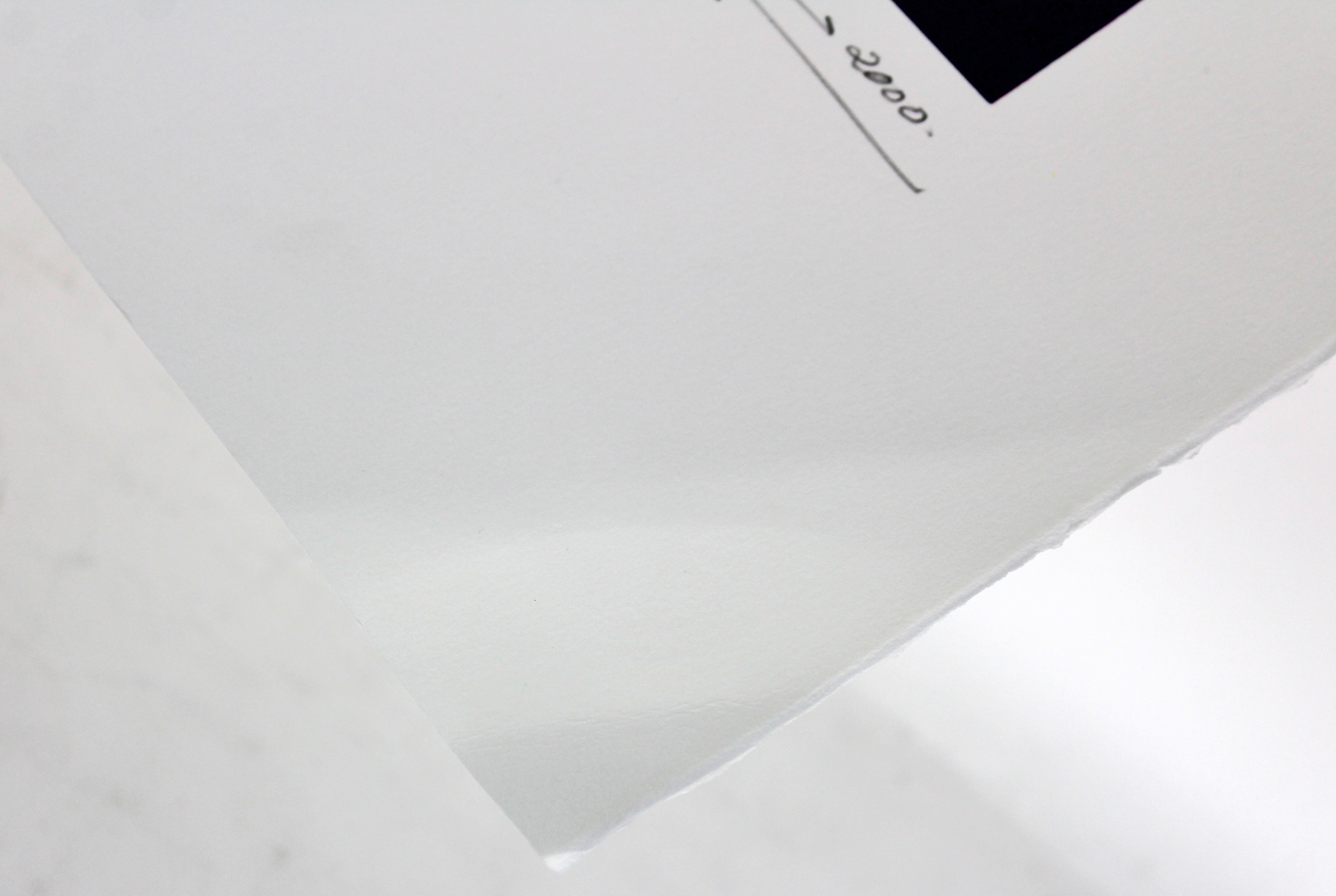 Jimmy Page Signed LE Led Zeppelin 30x33 Lithograph (Beckett LOA) at PristineAuction.com Jimmy Page Signed LE Led Zeppelin 30x33 Lithograph (Beckett LOA) at PristineAuction.com