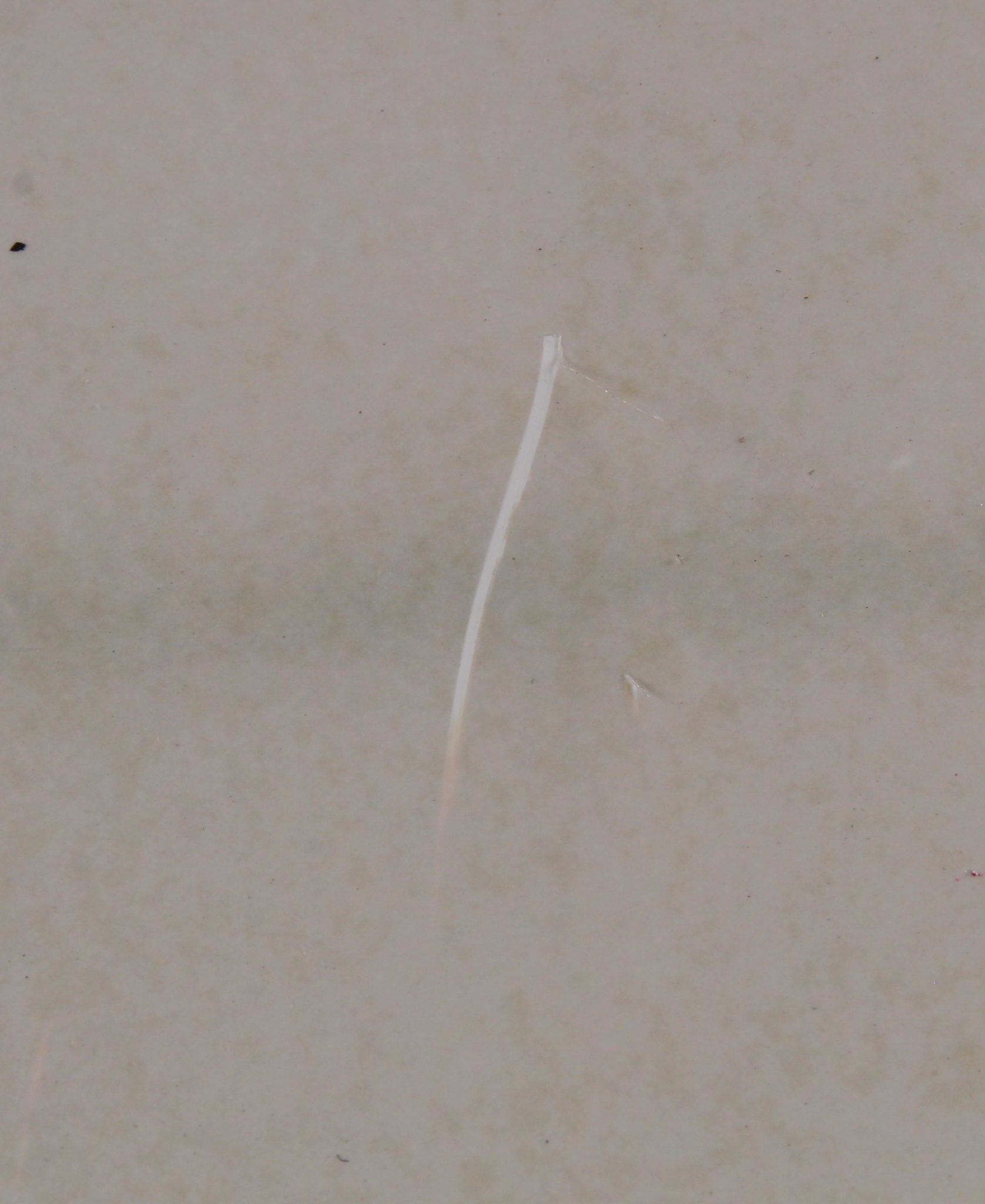 Joe Frazier Signed 16x20 Photo (Super Star Hologram) at PristineAuction.com Joe Frazier Signed 16x20 Photo (Super Star Hologram) at PristineAuction.com