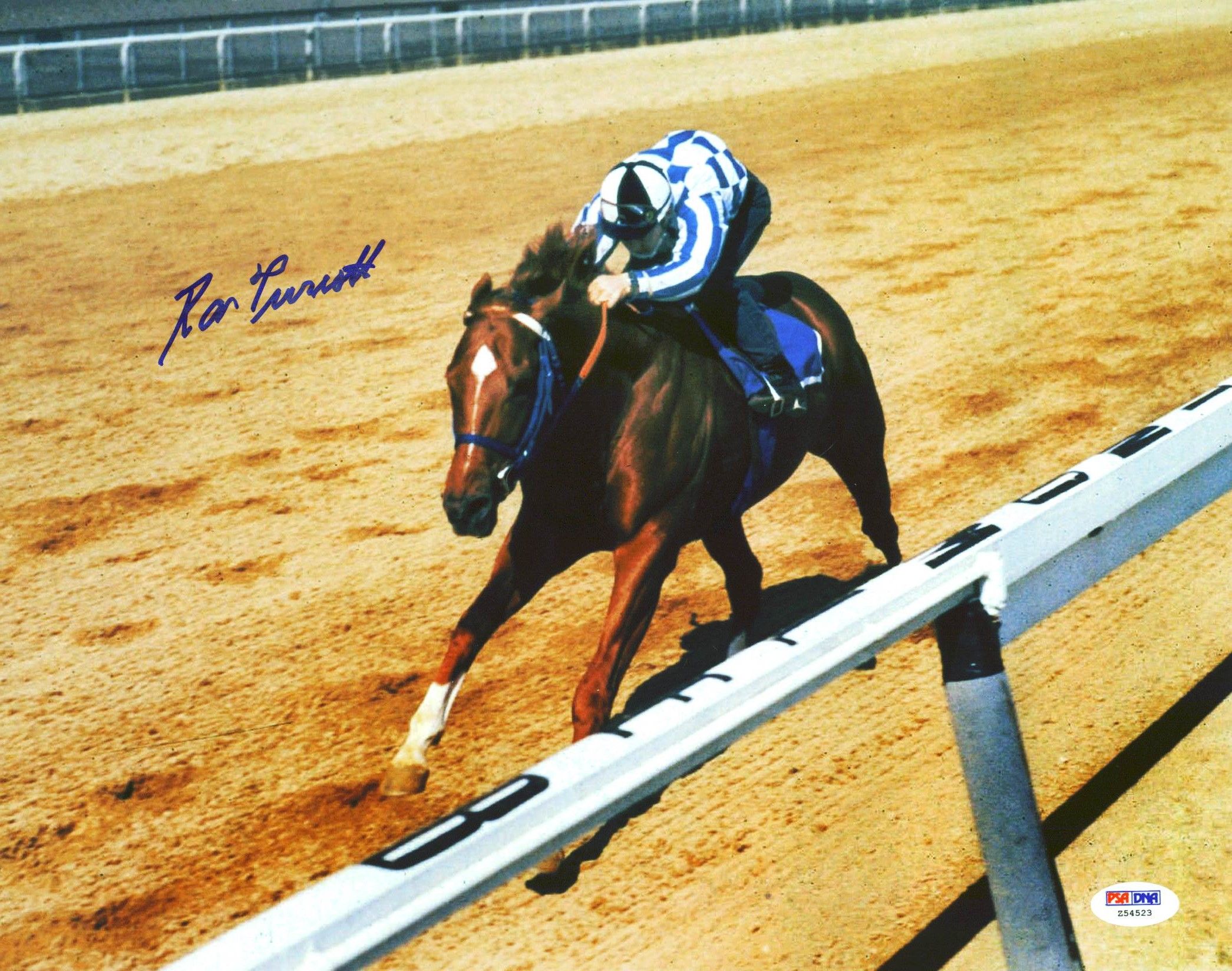 Ron Turcotte Signed 1973 Secretariat Triple Crown 11x14 Photo (PSA) at PristineAuction.com Ron Turcotte Signed 1973 Secretariat Triple Crown 11x14 Photo (PSA) at PristineAuction.com