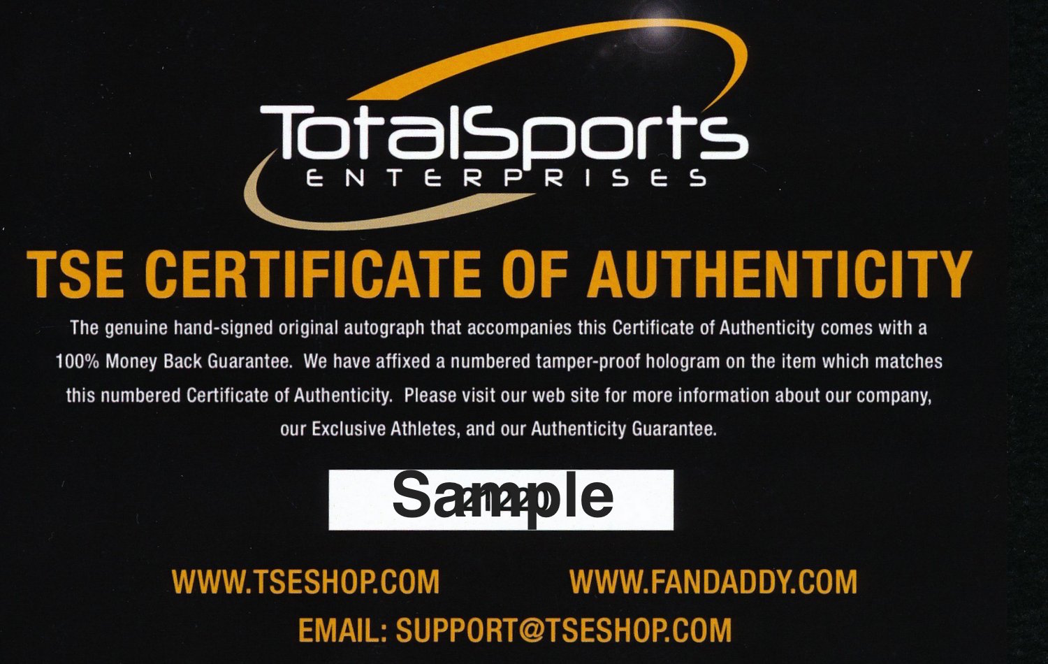 Mike Wagner Signed Steelers Logo Football Inscribed "4X SB Champ's" (TSE) at PristineAuction.com Mike Wagner Signed Steelers Logo Football Inscribed "4X SB Champ's" (TSE) at PristineAuction.com