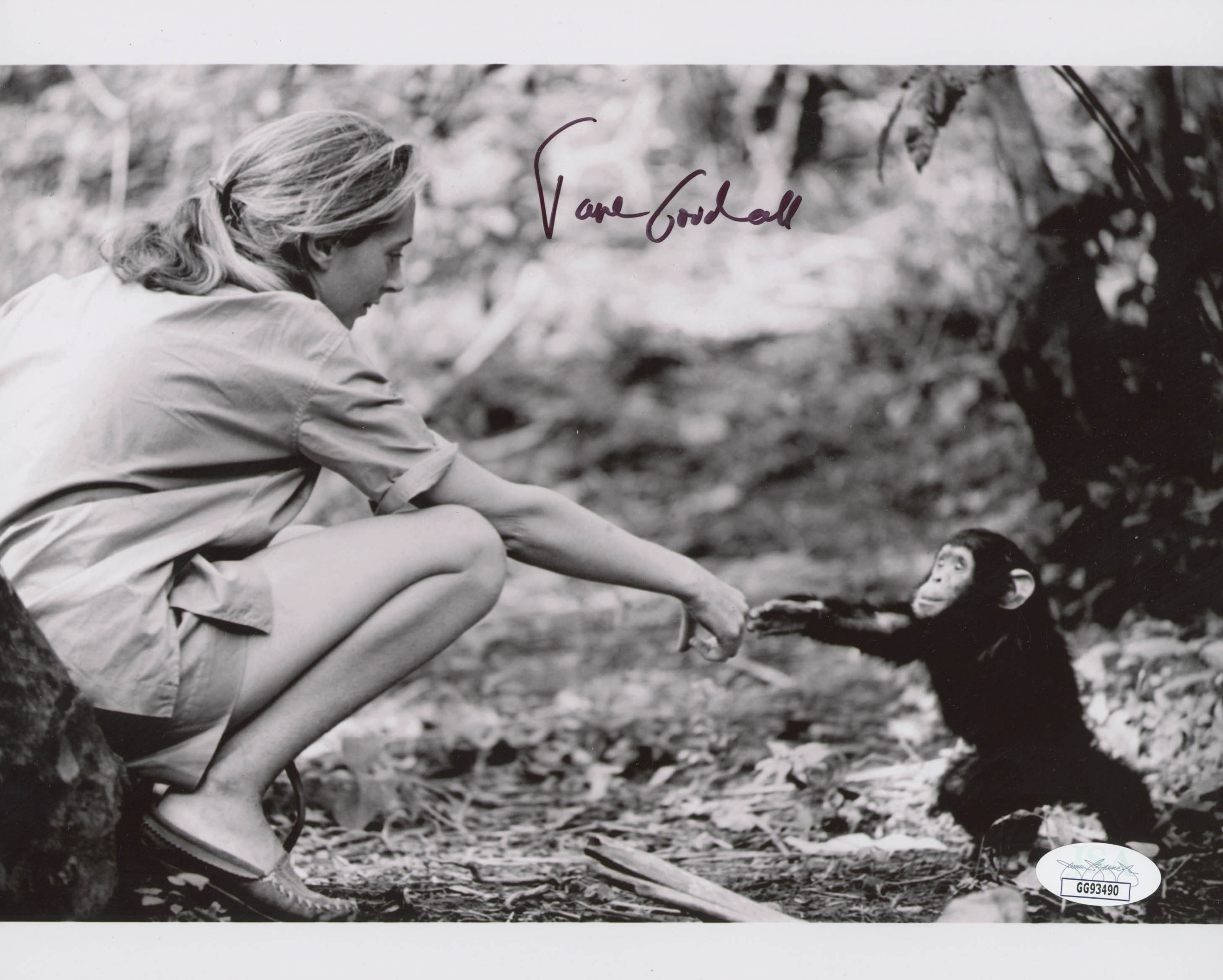 Jane Goodall Signed 8x10 Photo (JSA COA) at PristineAuction.com Jane Goodall Signed 8x10 Photo (JSA COA) at PristineAuction.com
