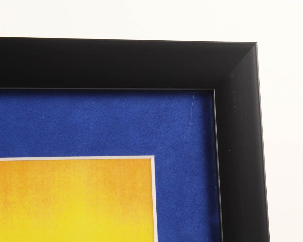 Walt Disney's "Dumbo" 16x19 Custom Framed Animation Serigraph Display at PristineAuction.com Walt Disney's "Dumbo" 16x19 Custom Framed Animation Serigraph Display at PristineAuction.com