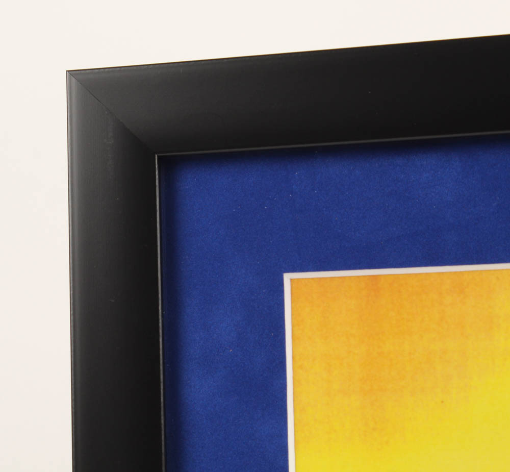 Walt Disney's "Dumbo" 16x19 Custom Framed Animation Serigraph Display at PristineAuction.com Walt Disney's "Dumbo" 16x19 Custom Framed Animation Serigraph Display at PristineAuction.com