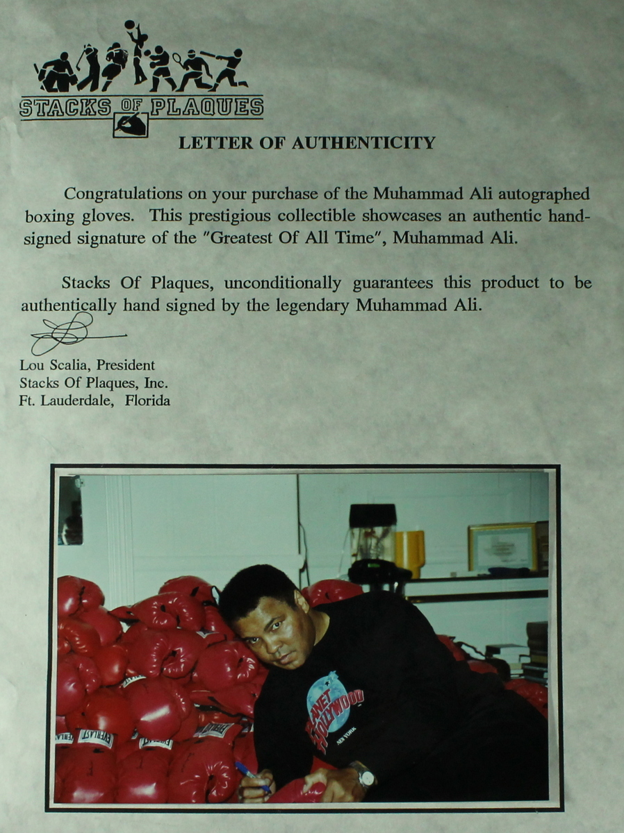 Muhammad Ali Signed Everlast Boxing Glove (SOP LOA) at PristineAuction.com Muhammad Ali Signed Everlast Boxing Glove (SOP LOA) at PristineAuction.com