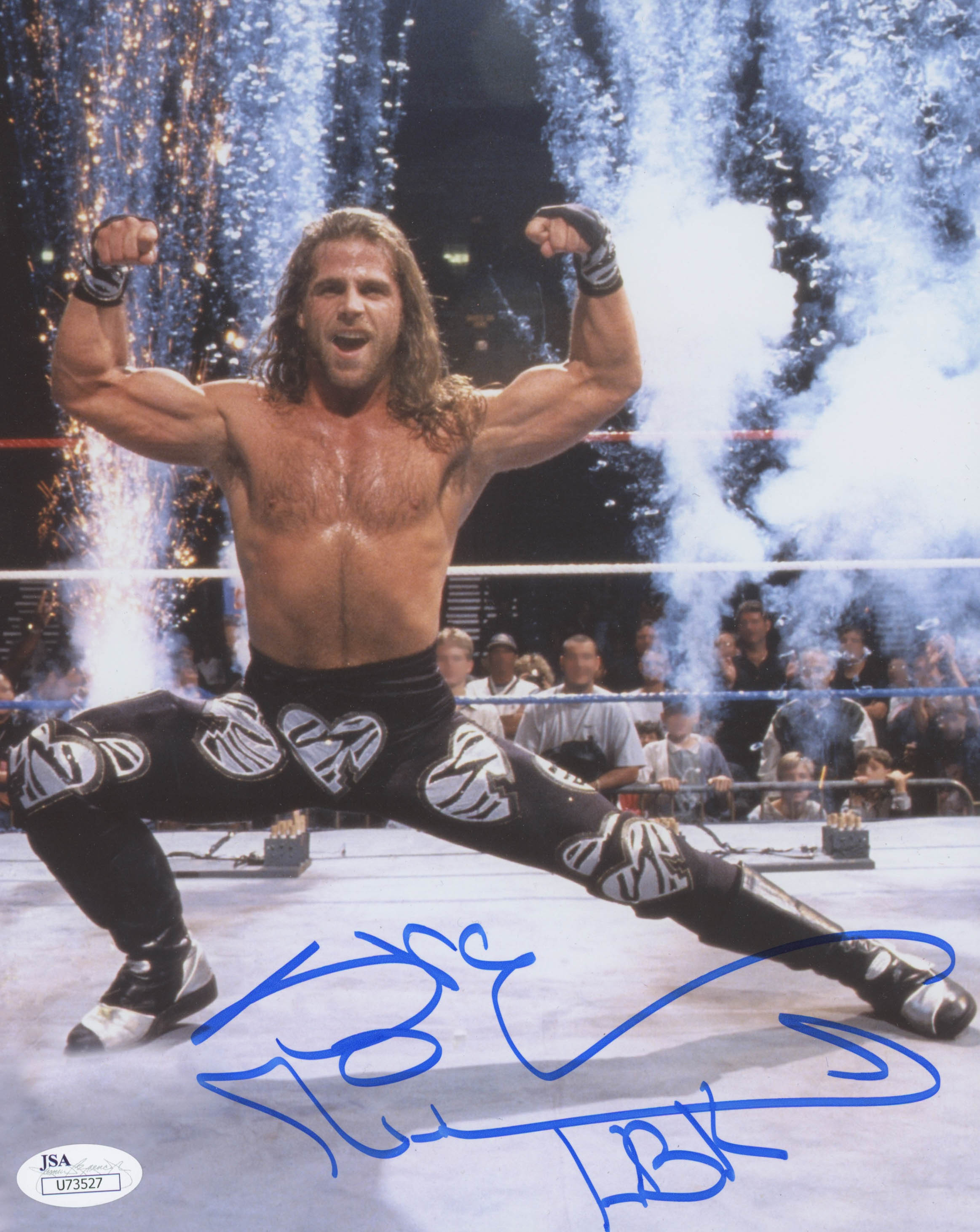 Shawn Michaels Signed WWE 8x10 Photo (JSA COA) at PristineAuction.com Shawn Michaels Signed WWE 8x10 Photo (JSA COA) at PristineAuction.com