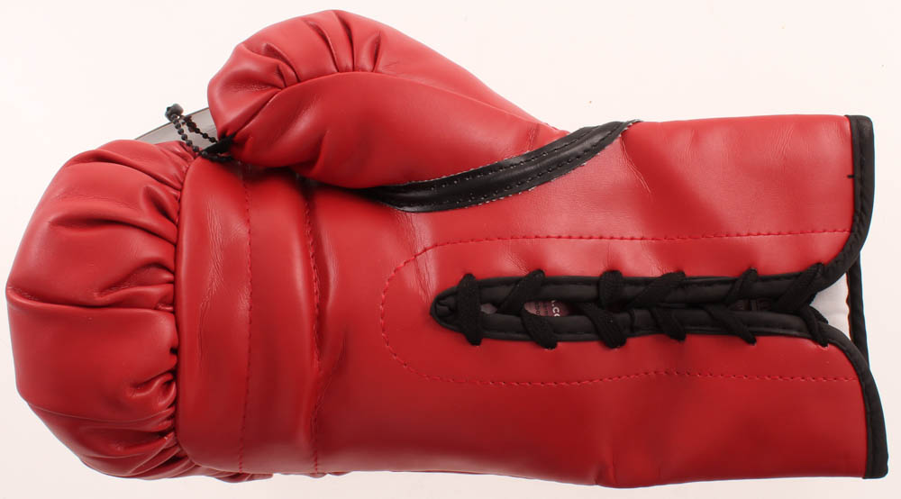 Roy Jones Jr. Signed Everlast Boxing Glove (JSA COA) at PristineAuction.com Roy Jones Jr. Signed Everlast Boxing Glove (JSA COA) at PristineAuction.com