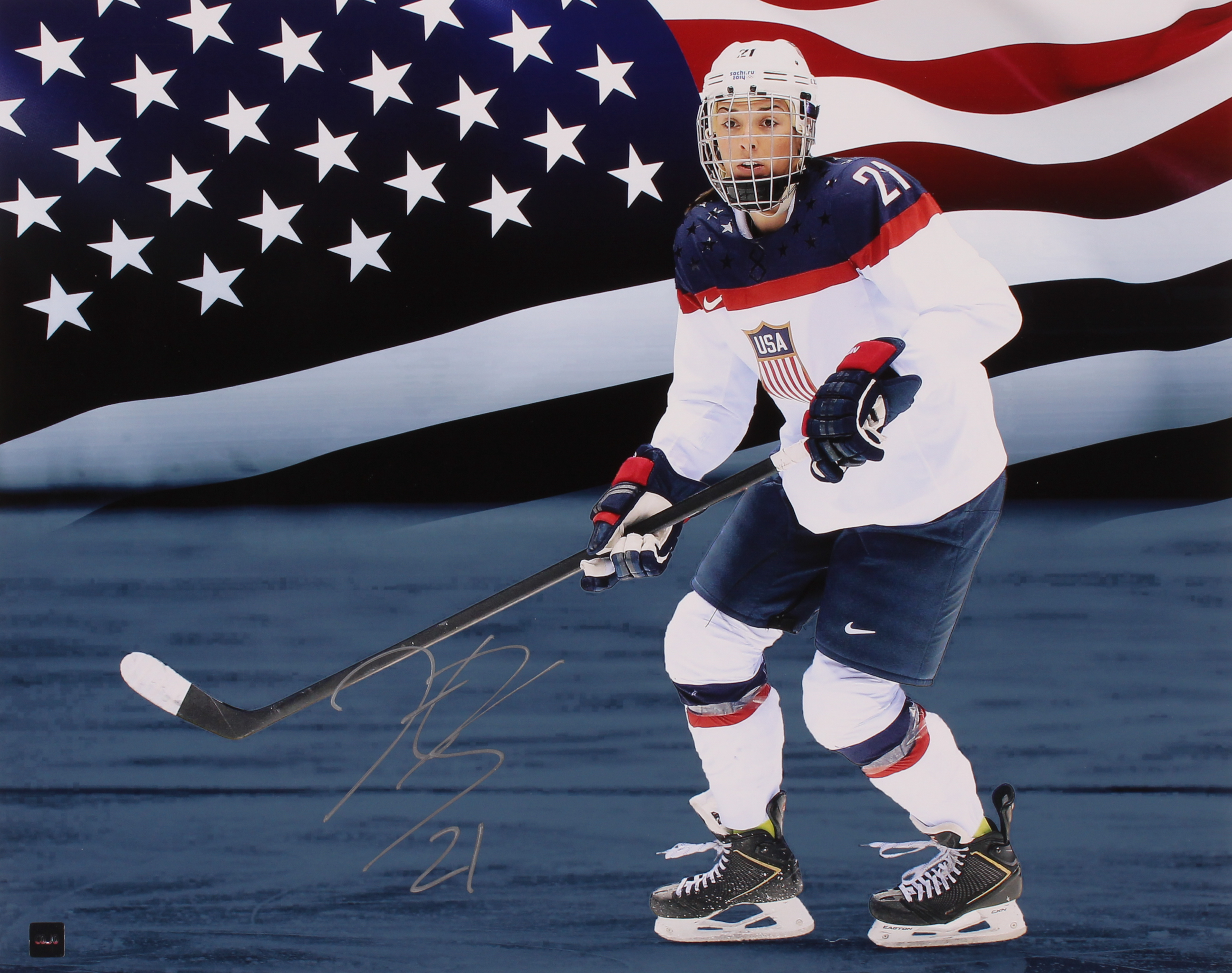Hilary Knight Signed Team USA 16x20 Photo (COJO Hologram) at PristineAuction.com Hilary Knight Signed Team USA 16x20 Photo (COJO Hologram) at PristineAuction.com