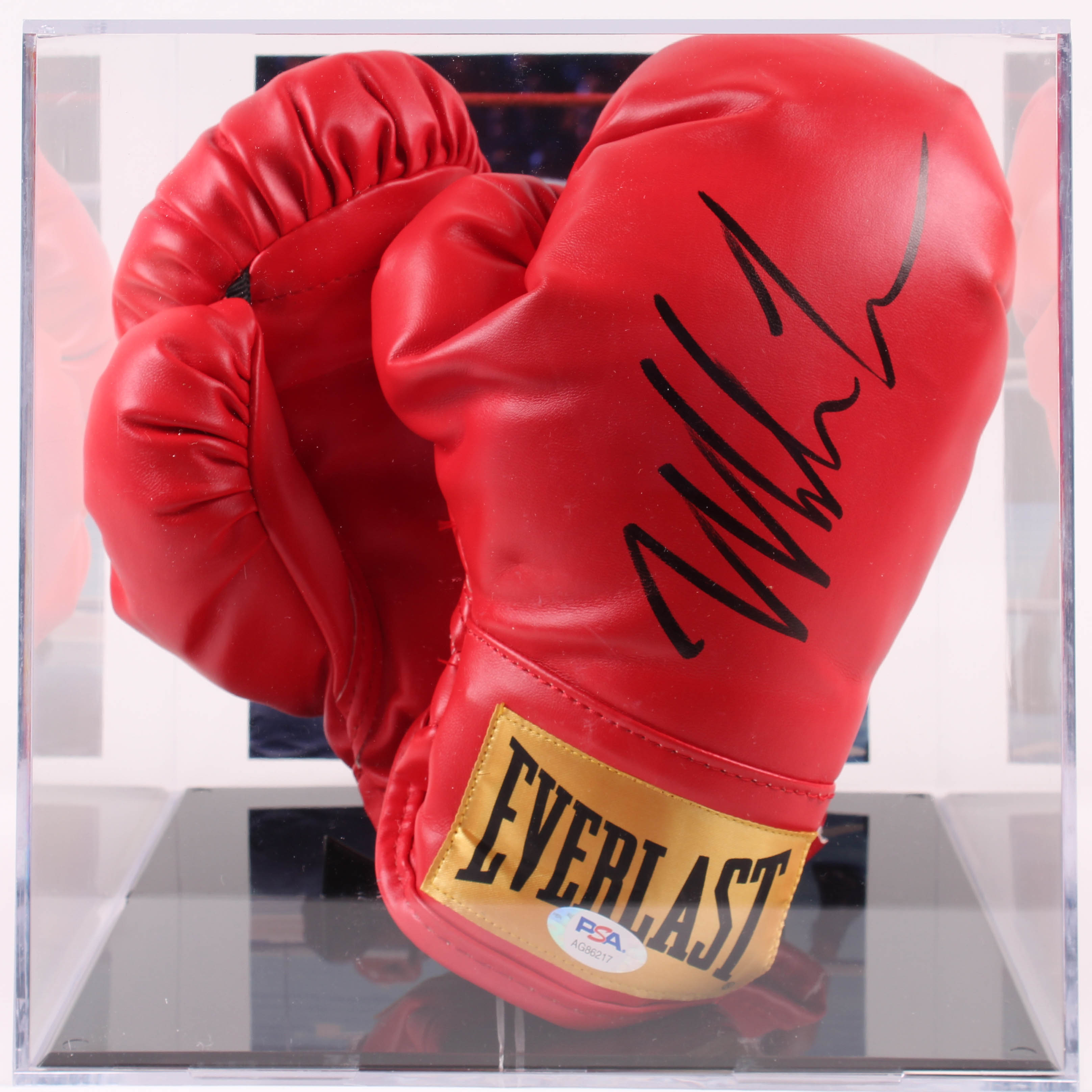 Mike Tyson Signed Everlast Boxing Gloves with Photo Display Case (PSA COA) at PristineAuction.com Mike Tyson Signed Everlast Boxing Gloves with Photo Display Case (PSA COA) at PristineAuction.com