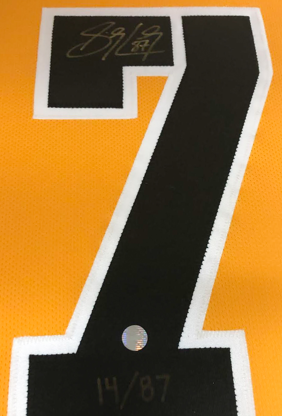 Sidney Crosby Signed Penguins 36x44 Custom Framed Jersey (FSM COA) at PristineAuction.com Sidney Crosby Signed Penguins 36x44 Custom Framed Jersey (FSM COA) at PristineAuction.com