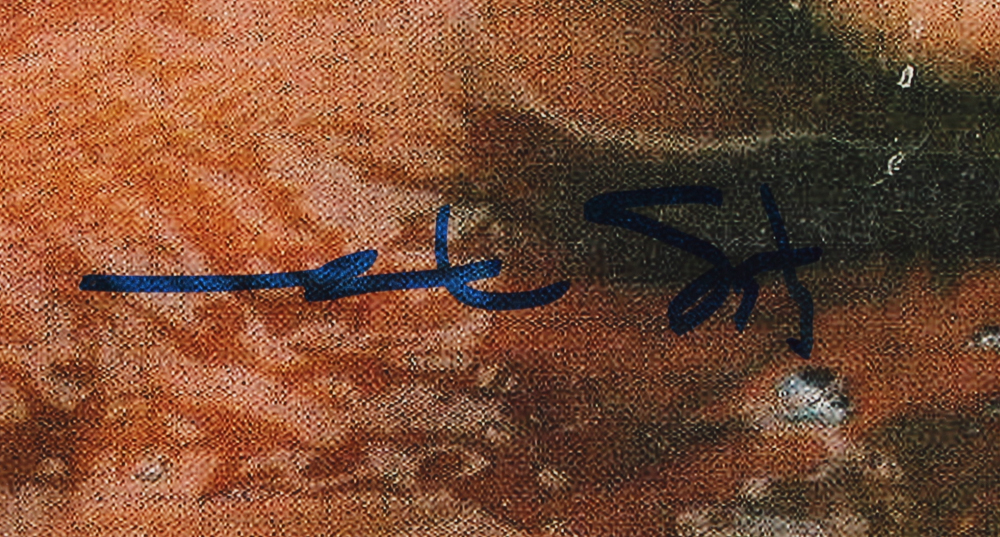 Mark Spitz Signed 8x10 Photo (Beckett COA) at PristineAuction.com Mark Spitz Signed 8x10 Photo (Beckett COA) at PristineAuction.com