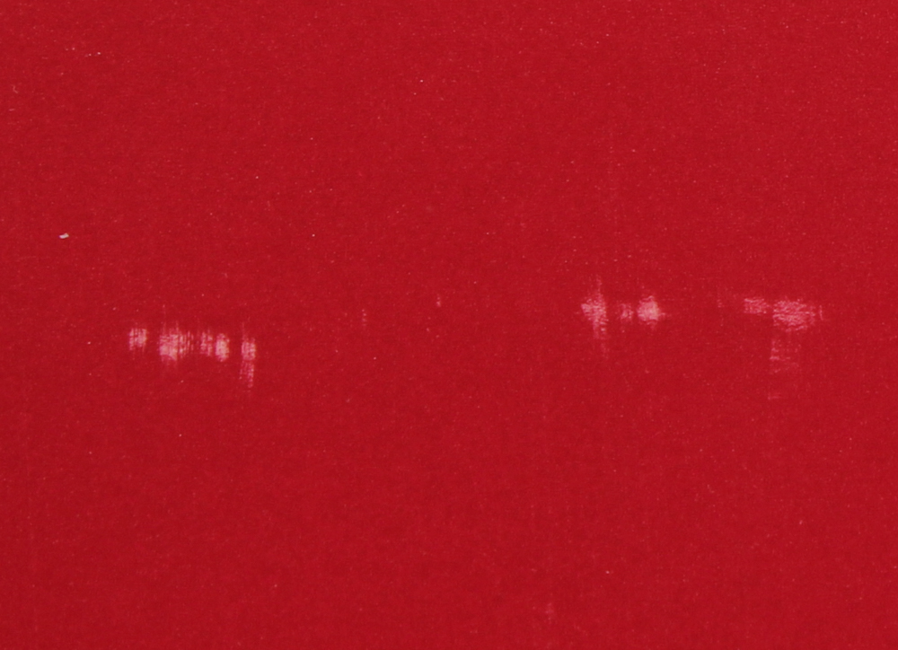 Lot of (3) 1997 Walt Disney LE 23.5x23.5 Lithographs with Winnie The Pooh, Tigger, & Genie at PristineAuction.com Lot of (3) 1997 Walt Disney LE 23.5x23.5 Lithographs with Winnie The Pooh, Tigger, & Genie at PristineAuction.com