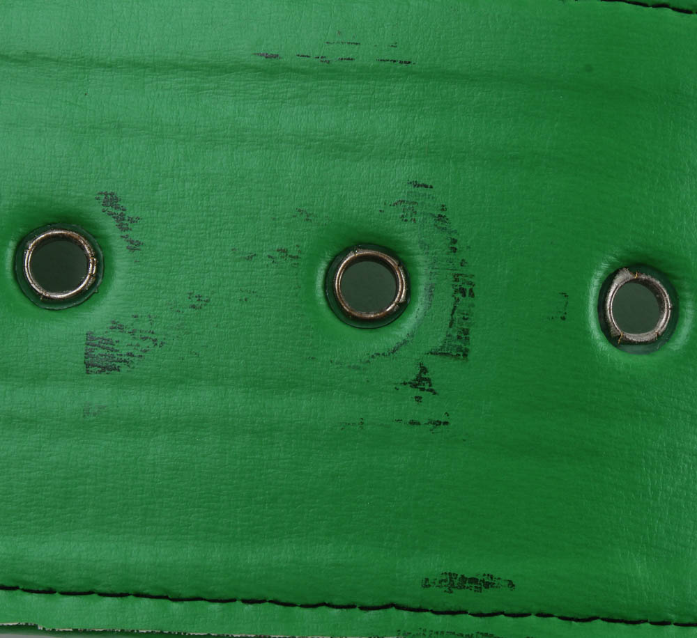 Mike Tyson Signed Full-Size WBC Heavyweight Championship Belt (JSA COA & Fiterman Sports Hologram) at PristineAuction.com Mike Tyson Signed Full-Size WBC Heavyweight Championship Belt (JSA COA & Fiterman Sports Hologram) at PristineAuction.com