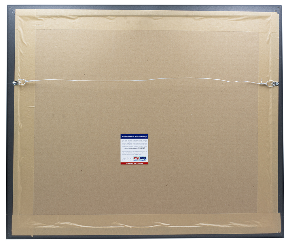 Michael Vick Signed Eagles 22x27 Custom Framed Photo Display with (2) Eagles Medallions Inscribed "Miracle At The New Meadowlands" (PSA COA & Vick Hologram) at PristineAuction.com Michael Vick Signed Eagles 22x27 Custom Framed Photo Display with (2) Eagles Medallions Inscribed "Miracle At The New Meadowlands" (PSA COA & Vick Hologram) at PristineAuction.com