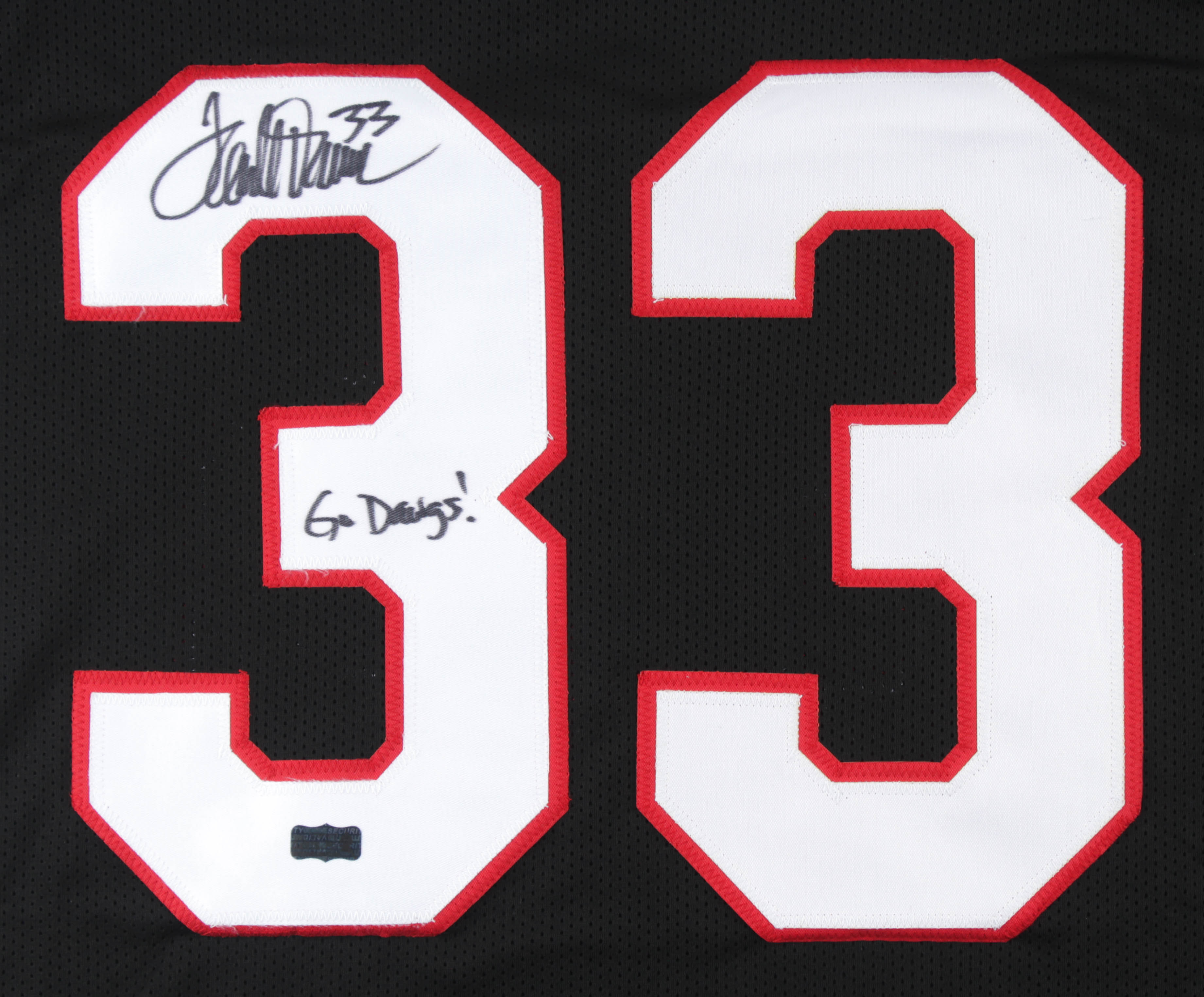 Terrell Davis Signed Jersey Inscribed "Go Dawgs!" (Radtke) at PristineAuction.com Terrell Davis Signed Jersey Inscribed "Go Dawgs!" (Radtke) at PristineAuction.com