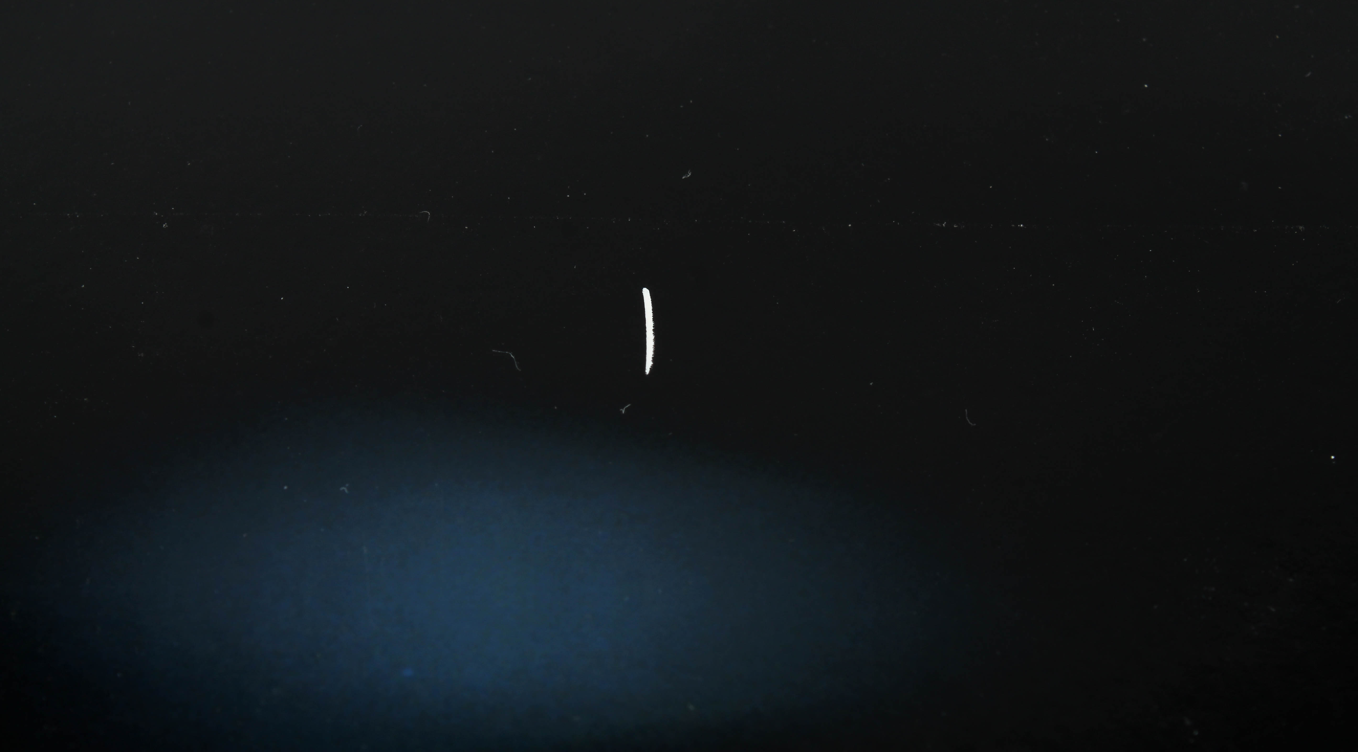 Don Mattingly Signed Yankees 16x20 Photo Inscribed "Yankee Captain" (MLB Hologram) at PristineAuction.com Don Mattingly Signed Yankees 16x20 Photo Inscribed "Yankee Captain" (MLB Hologram) at PristineAuction.com