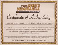 Andrei Vasilevskiy Signed Lightning Mini Goalie Mask (YSMS COA) at PristineAuction.com Andrei Vasilevskiy Signed Lightning Mini Goalie Mask (YSMS COA) at PristineAuction.com