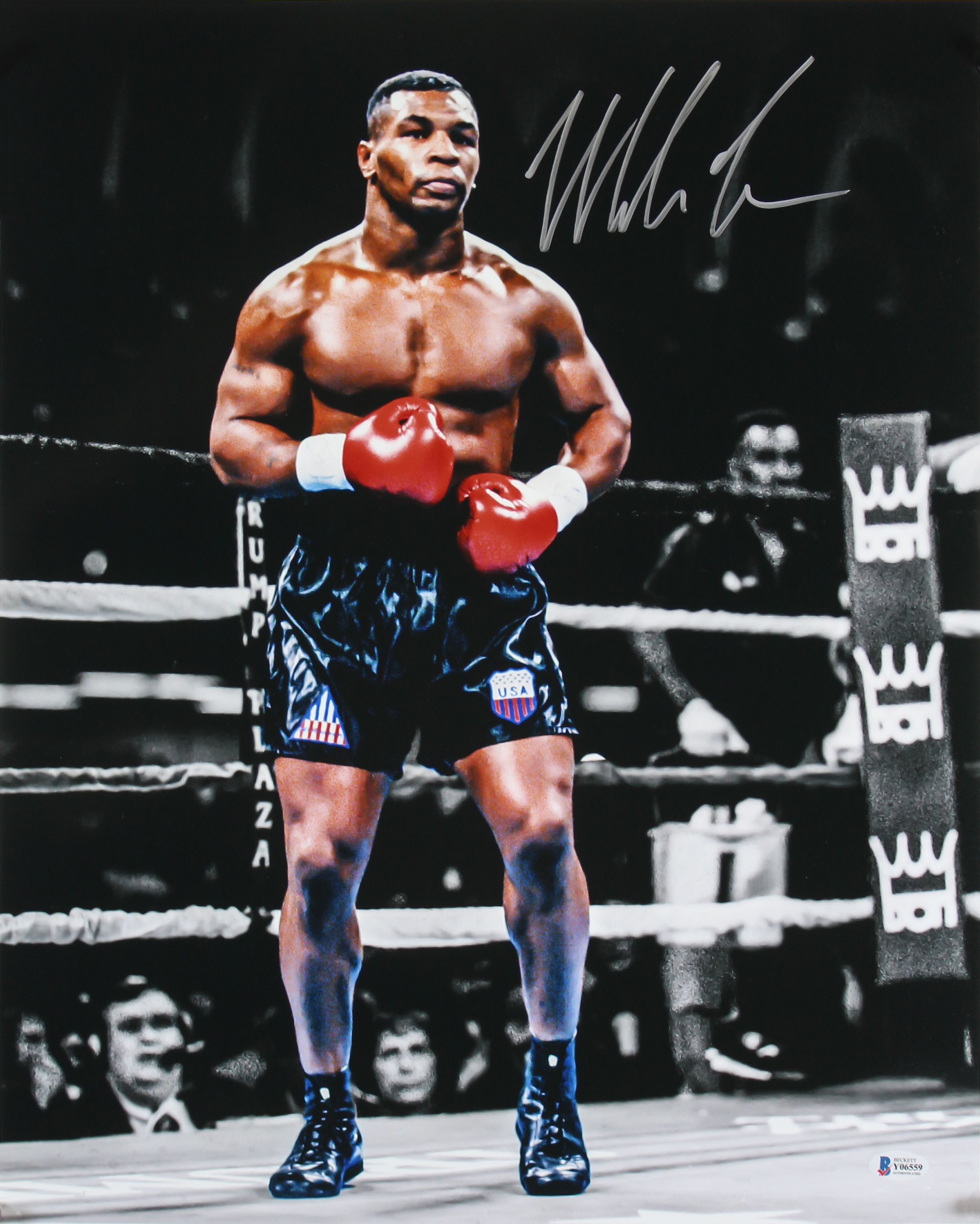 Mike Tyson Signed 16x20 Photo (Beckett COA) at PristineAuction.com Mike Tyson Signed 16x20 Photo (Beckett COA) at PristineAuction.com