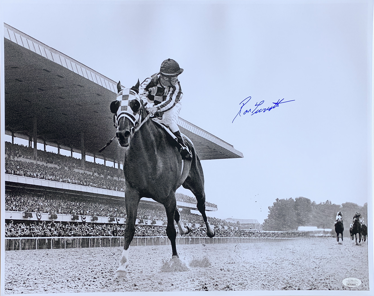 Ron Turcotte Signed 1973 Belmont Stakes 16x20 Photo (JSA) at PristineAuction.com Ron Turcotte Signed 1973 Belmont Stakes 16x20 Photo (JSA) at PristineAuction.com