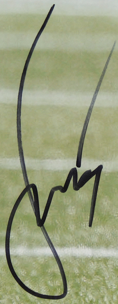 Larry Fitzgerald Signed Cardinals 2005 Pro Bowl 11x14 Photo (PSA Hologram) at PristineAuction.com Larry Fitzgerald Signed Cardinals 2005 Pro Bowl 11x14 Photo (PSA Hologram) at PristineAuction.com