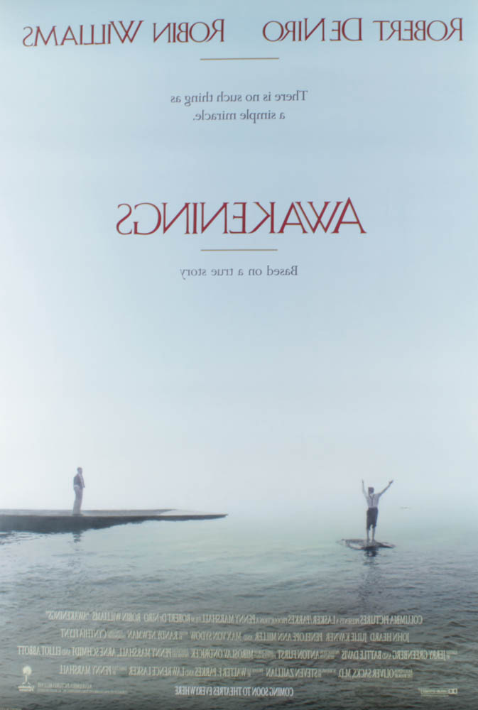 "Awakenings" 27x40 Double Sided Original Movie Poster at PristineAuction.com "Awakenings" 27x40 Double Sided Original Movie Poster at PristineAuction.com